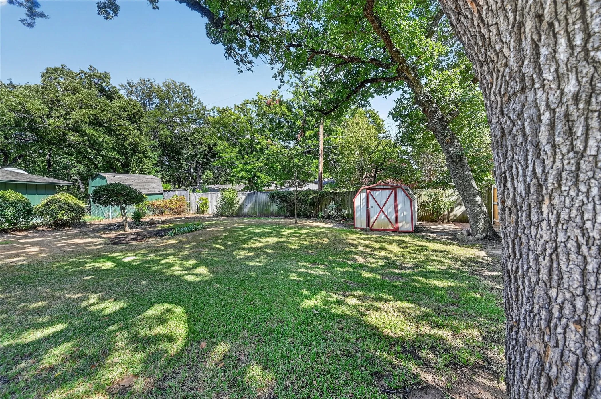 Large backyard with a shed