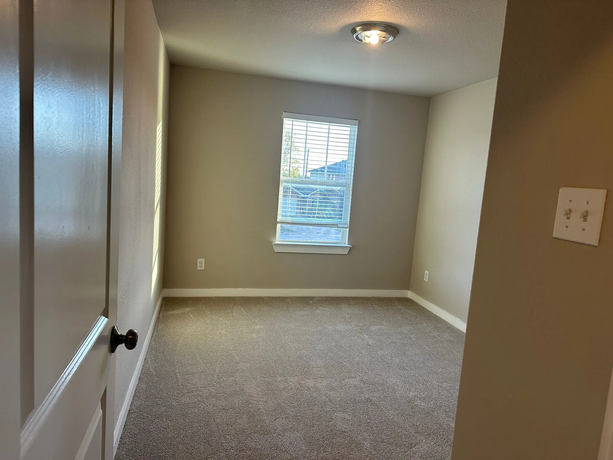 Carpeted flooring with a window featuring blinds, flush-mount lighting, and a paneled door with a dark knob