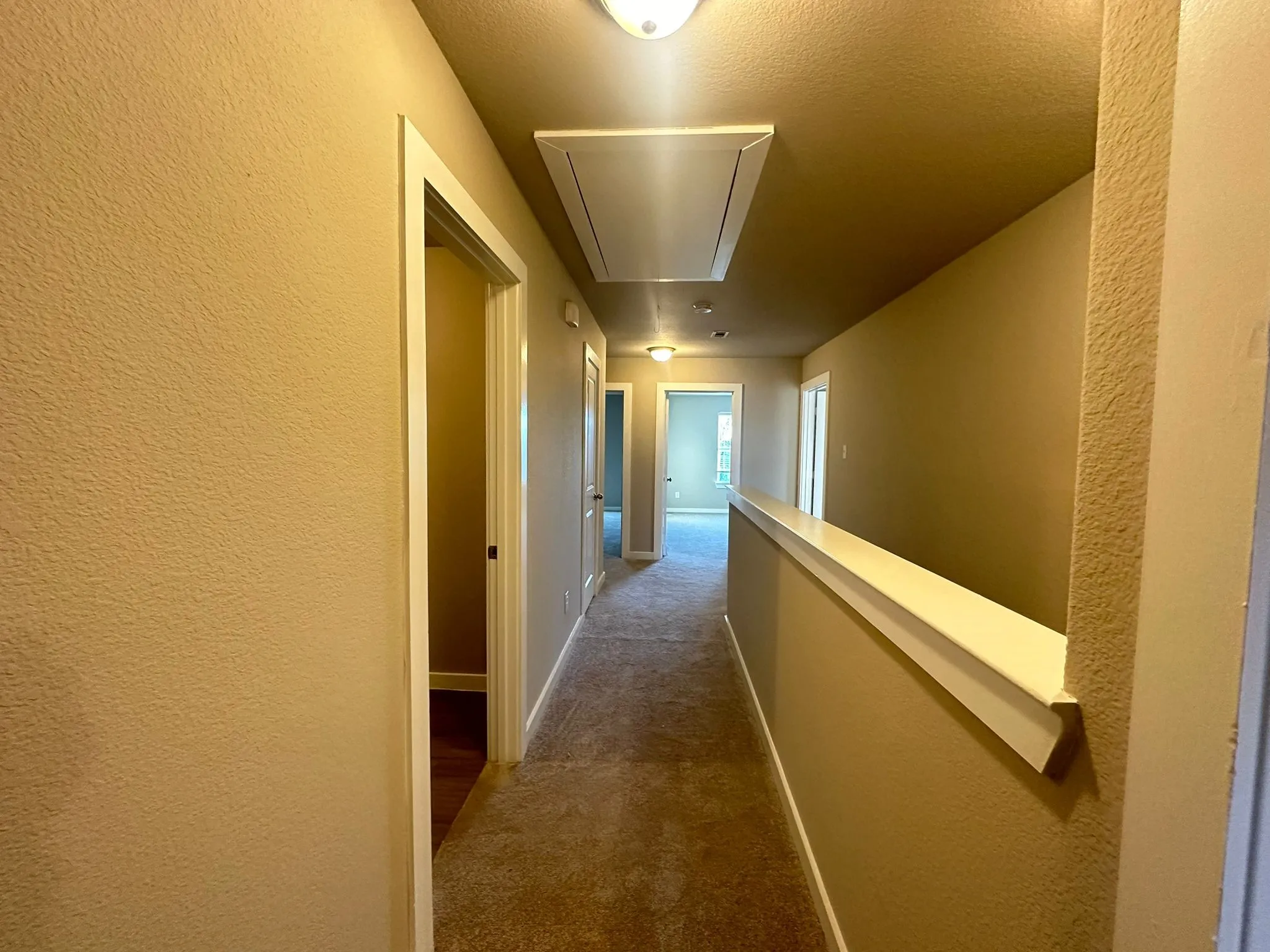 Carpeted hallway with painted walls and multiple doorways