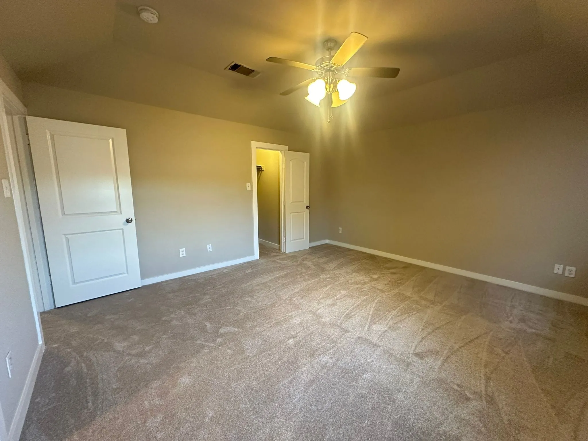 Carpeted flooring, ceiling fan, and painted walls