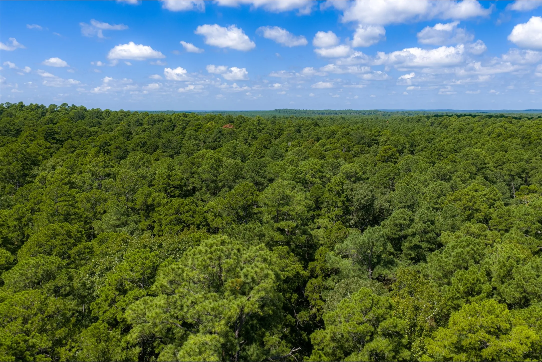 Improved Land For Sale in Houston County , NE Off Of FM 227, Kennard, Texas 75847, 0, 0, Garage spaces, 0 Sqft, built in 2010, mls#21389807, Real Estate Agent in Kennard, Homes For Sale in Houston county, Homes For Sale in Kennard, Realtor in Kennard Texas, Real Estate Brokerage Independent Realty Texas, Luminita Cordes Realtor