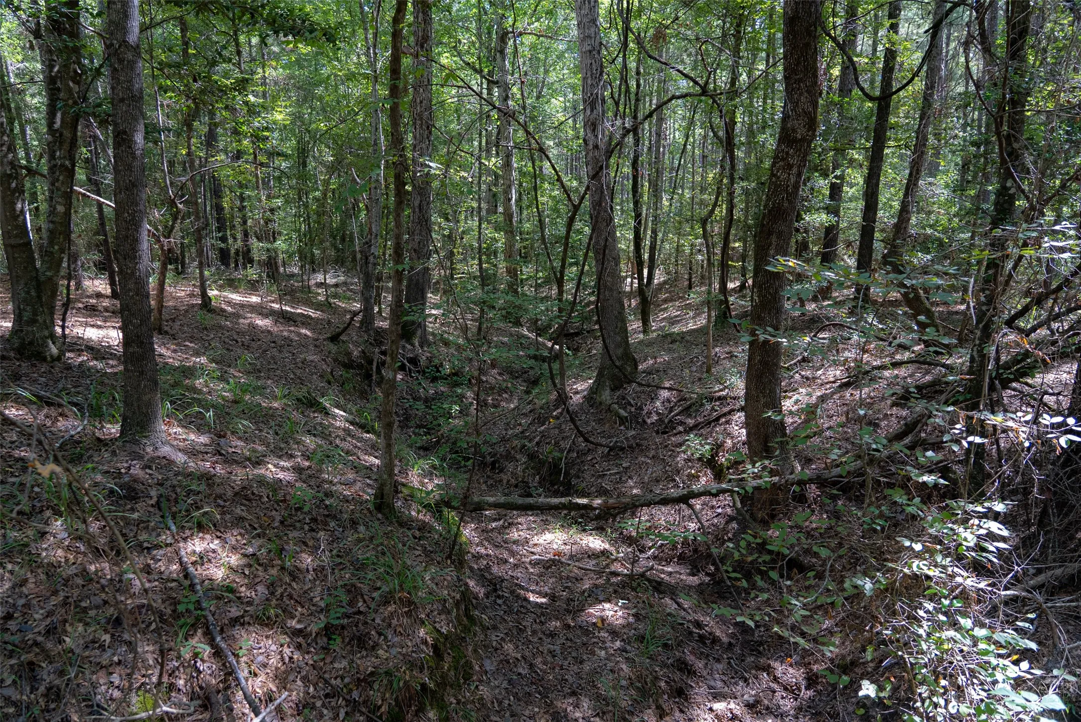 Improved Land For Sale in Houston County , NE Off Of FM 227, Kennard, Texas 75847, 0, 0, Garage spaces, 0 Sqft, built in 2010, mls#21389807, Real Estate Agent in Kennard, Homes For Sale in Houston county, Homes For Sale in Kennard, Realtor in Kennard Texas, Real Estate Brokerage Independent Realty Texas, Luminita Cordes Realtor