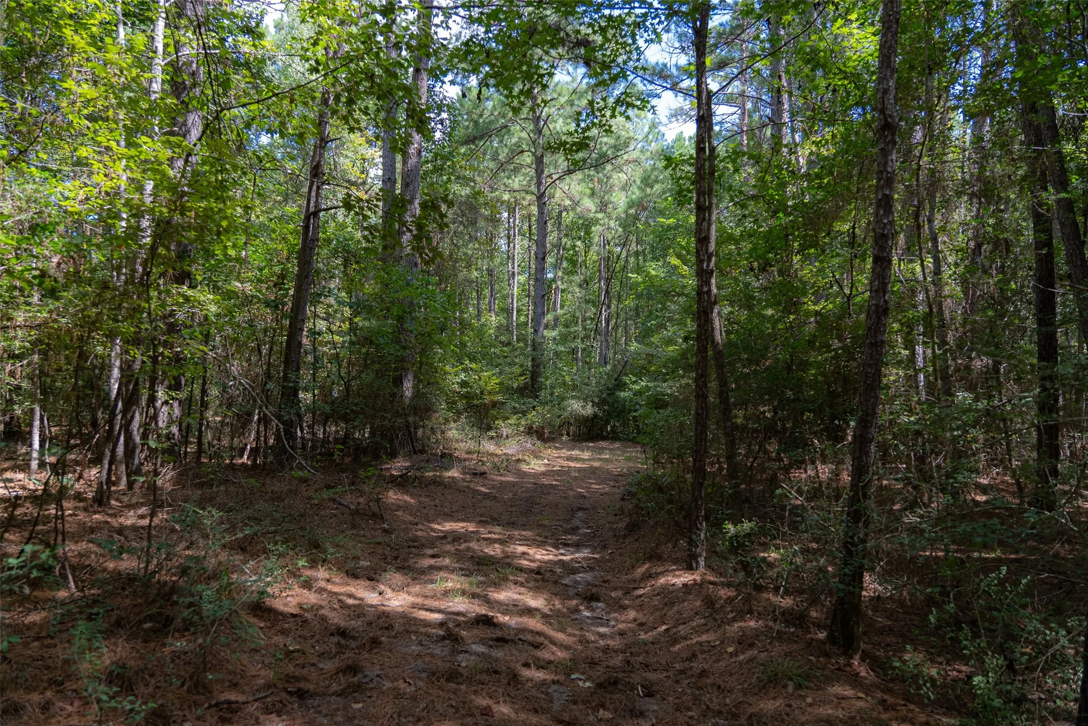 Improved Land For Sale in Houston County , NE Off Of FM 227, Kennard, Texas 75847, 0, 0, Garage spaces, 0 Sqft, built in 2010, mls#21389807, Real Estate Agent in Kennard, Homes For Sale in Houston county, Homes For Sale in Kennard, Realtor in Kennard Texas, Real Estate Brokerage Independent Realty Texas, Luminita Cordes Realtor