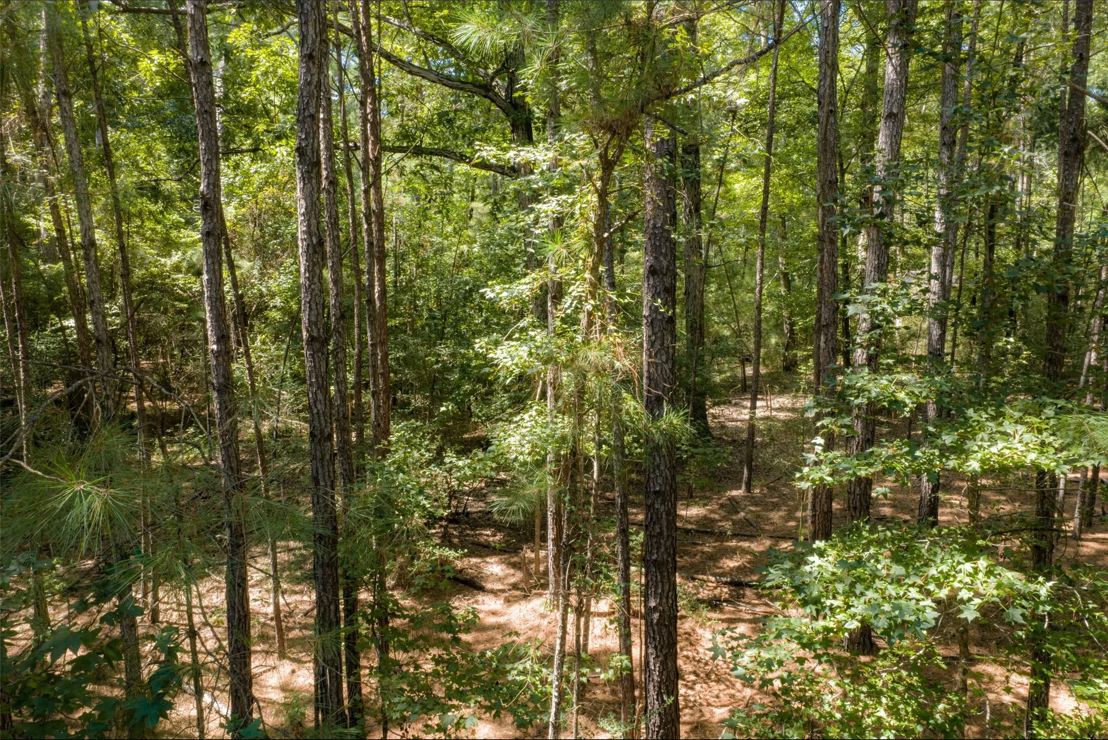 Improved Land For Sale in Houston County , NE Off Of FM 227, Kennard, Texas 75847, 0, 0, Garage spaces, 0 Sqft, built in 2010, mls#21389807, Real Estate Agent in Kennard, Homes For Sale in Houston county, Homes For Sale in Kennard, Realtor in Kennard Texas, Real Estate Brokerage Independent Realty Texas, Luminita Cordes Realtor