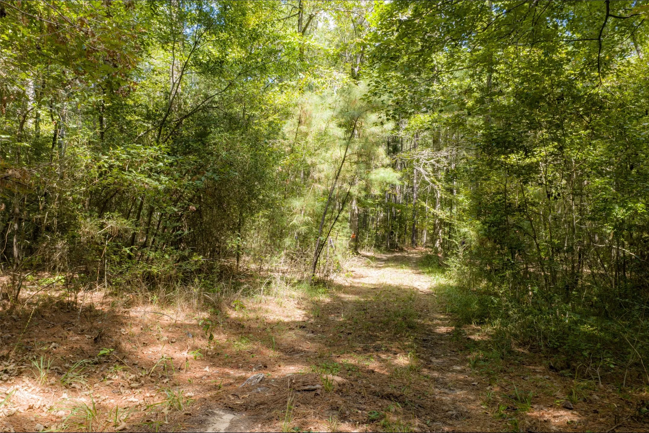 Improved Land For Sale in Houston County , NE Off Of FM 227, Kennard, Texas 75847, 0, 0, Garage spaces, 0 Sqft, built in 2010, mls#21389807, Real Estate Agent in Kennard, Homes For Sale in Houston county, Homes For Sale in Kennard, Realtor in Kennard Texas, Real Estate Brokerage Independent Realty Texas, Luminita Cordes Realtor