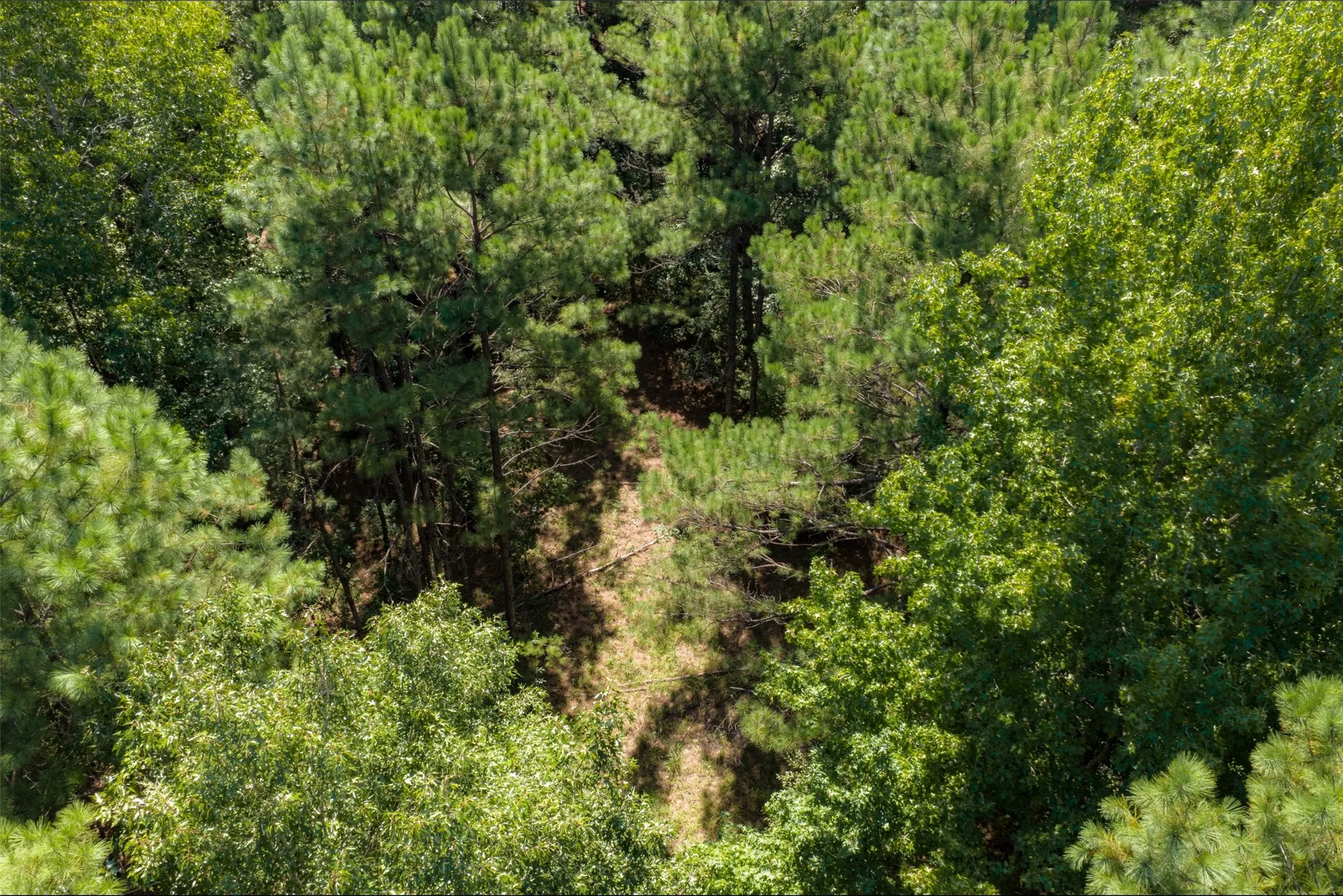 Improved Land For Sale in Houston County , NE Off Of FM 227, Kennard, Texas 75847, 0, 0, Garage spaces, 0 Sqft, built in 2010, mls#21389807, Real Estate Agent in Kennard, Homes For Sale in Houston county, Homes For Sale in Kennard, Realtor in Kennard Texas, Real Estate Brokerage Independent Realty Texas, Luminita Cordes Realtor