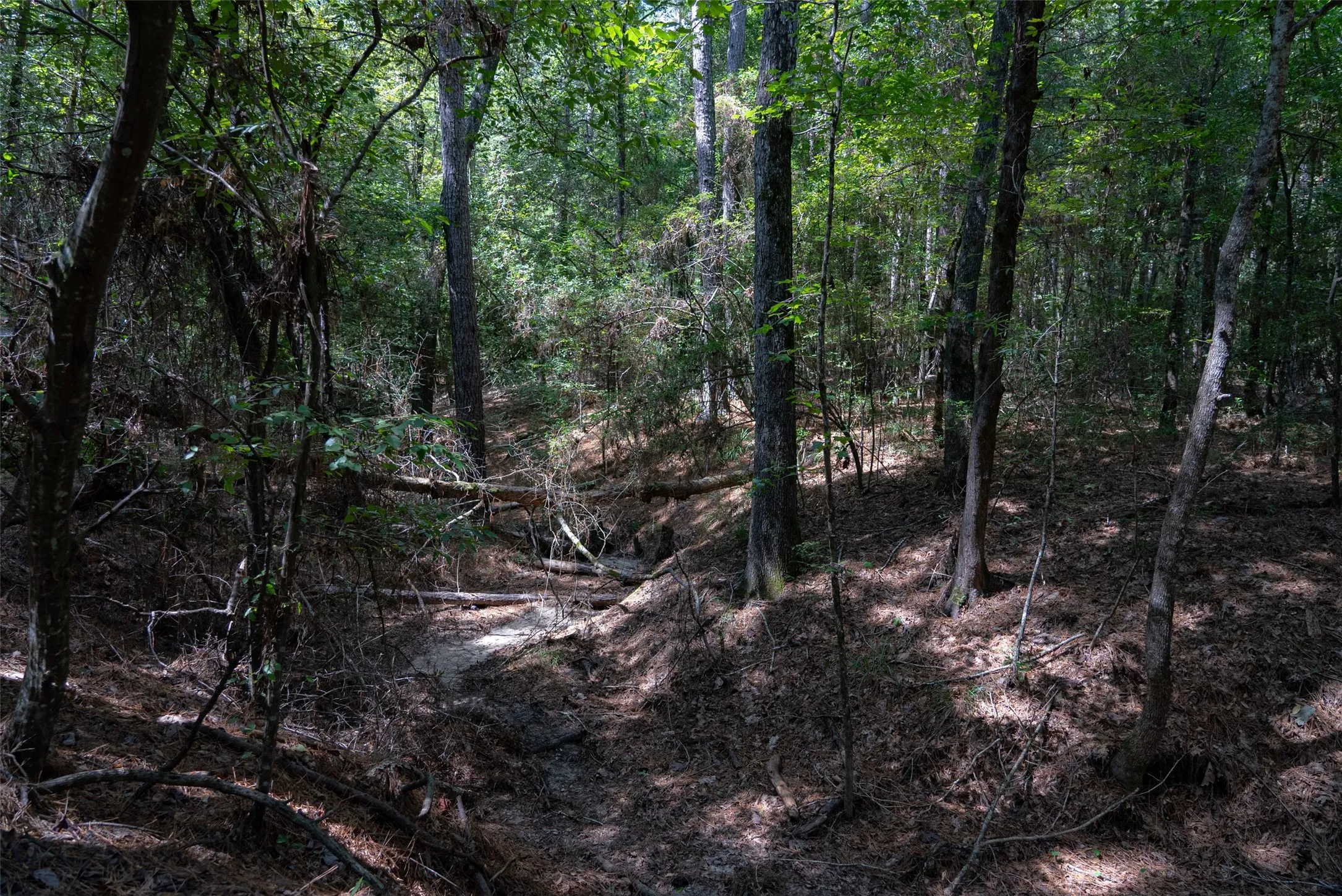 Improved Land For Sale in Houston County , NE Off Of FM 227, Kennard, Texas 75847, 0, 0, Garage spaces, 0 Sqft, built in 2010, mls#21389807, Real Estate Agent in Kennard, Homes For Sale in Houston county, Homes For Sale in Kennard, Realtor in Kennard Texas, Real Estate Brokerage Independent Realty Texas, Luminita Cordes Realtor