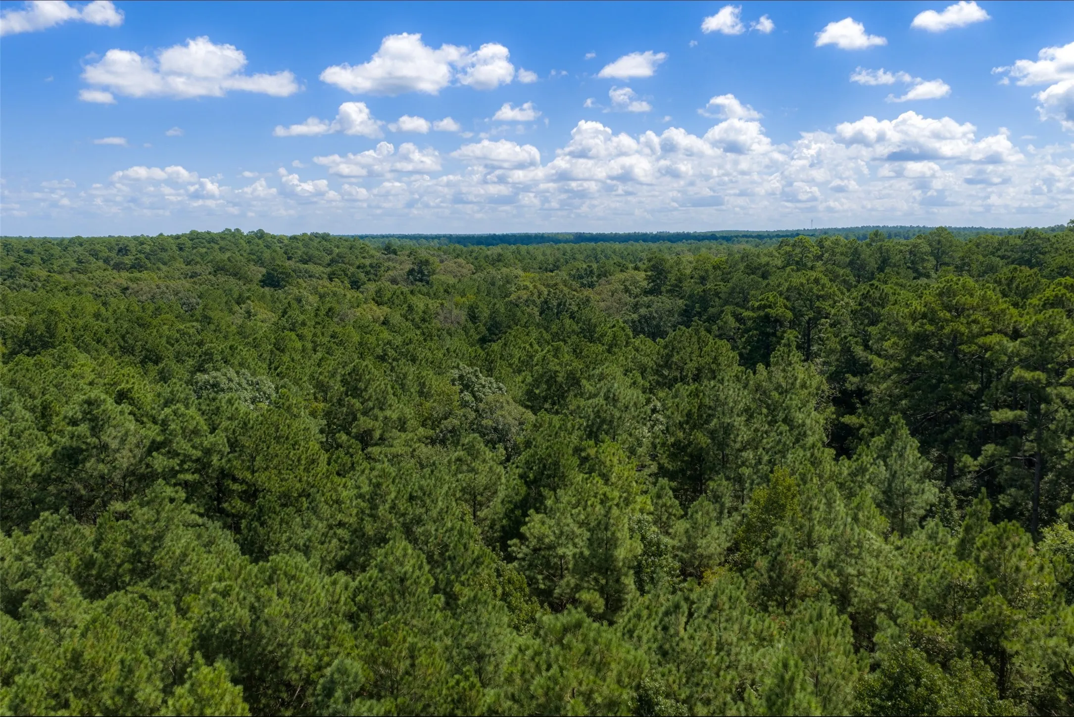 Improved Land For Sale in Houston County , NE Off Of FM 227, Kennard, Texas 75847, 0, 0, Garage spaces, 0 Sqft, built in 2010, mls#21389807, Real Estate Agent in Kennard, Homes For Sale in Houston county, Homes For Sale in Kennard, Realtor in Kennard Texas, Real Estate Brokerage Independent Realty Texas, Luminita Cordes Realtor