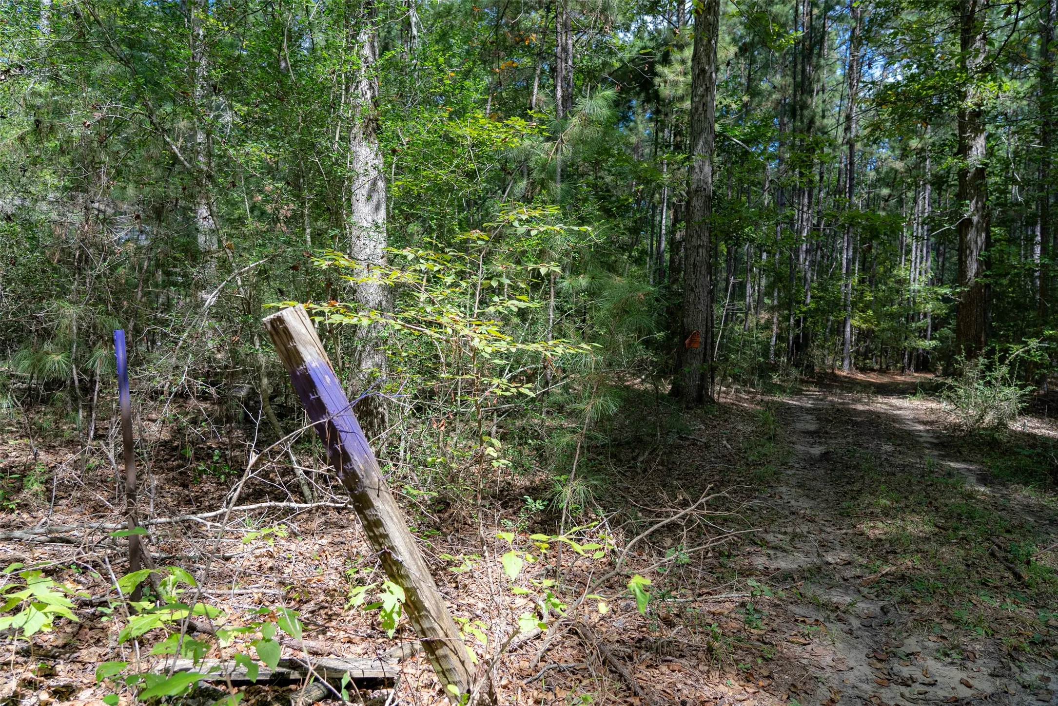Improved Land For Sale in Houston County , NE Off Of FM 227, Kennard, Texas 75847, 0, 0, Garage spaces, 0 Sqft, built in 2010, mls#21389807, Real Estate Agent in Kennard, Homes For Sale in Houston county, Homes For Sale in Kennard, Realtor in Kennard Texas, Real Estate Brokerage Independent Realty Texas, Luminita Cordes Realtor