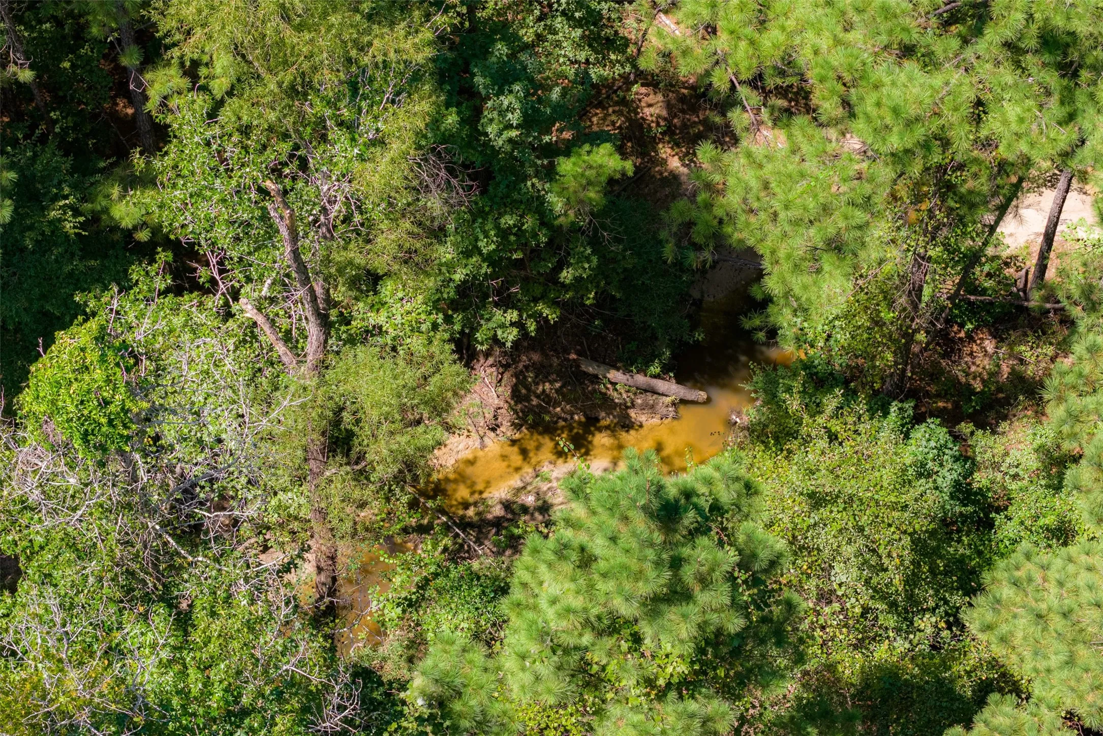Improved Land For Sale in Houston County , NE Off Of FM 227, Kennard, Texas 75847, 0, 0, Garage spaces, 0 Sqft, built in 2010, mls#21389807, Real Estate Agent in Kennard, Homes For Sale in Houston county, Homes For Sale in Kennard, Realtor in Kennard Texas, Real Estate Brokerage Independent Realty Texas, Luminita Cordes Realtor