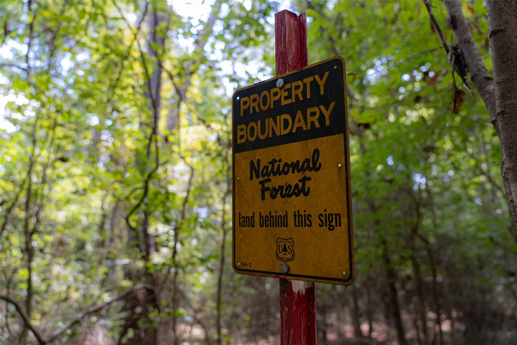 Improved Land For Sale in Houston County , NE Off Of FM 227, Kennard, Texas 75847, 0, 0, Garage spaces, 0 Sqft, built in 2010, mls#21389807, Real Estate Agent in Kennard, Homes For Sale in Houston county, Homes For Sale in Kennard, Realtor in Kennard Texas, Real Estate Brokerage Independent Realty Texas, Luminita Cordes Realtor