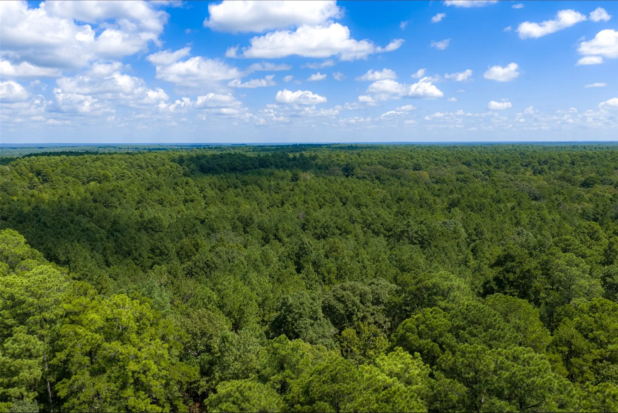 Improved Land For Sale in Houston County , NE Off Of FM 227, Kennard, Texas 75847, 0, 0, Garage spaces, 0 Sqft, built in 2010, mls#21389807, Real Estate Agent in Kennard, Homes For Sale in Houston county, Homes For Sale in Kennard, Realtor in Kennard Texas, Real Estate Brokerage Independent Realty Texas, Luminita Cordes Realtor