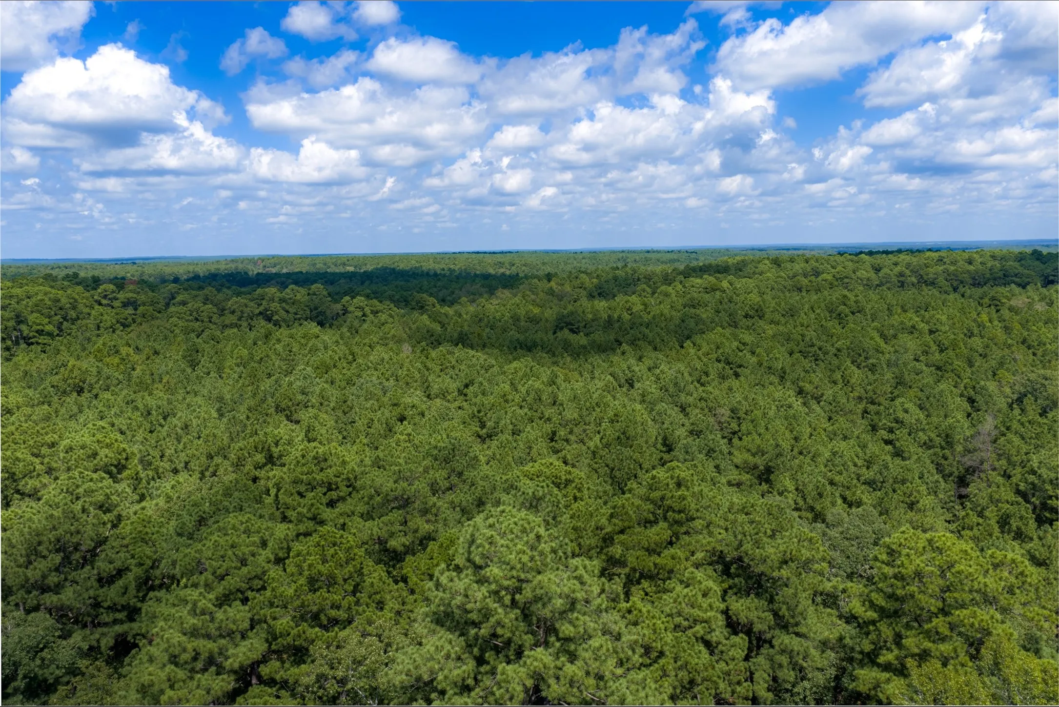 Improved Land For Sale in Houston County , NE Off Of FM 227, Kennard, Texas 75847, 0, 0, Garage spaces, 0 Sqft, built in 2010, mls#21389807, Real Estate Agent in Kennard, Homes For Sale in Houston county, Homes For Sale in Kennard, Realtor in Kennard Texas, Real Estate Brokerage Independent Realty Texas, Luminita Cordes Realtor