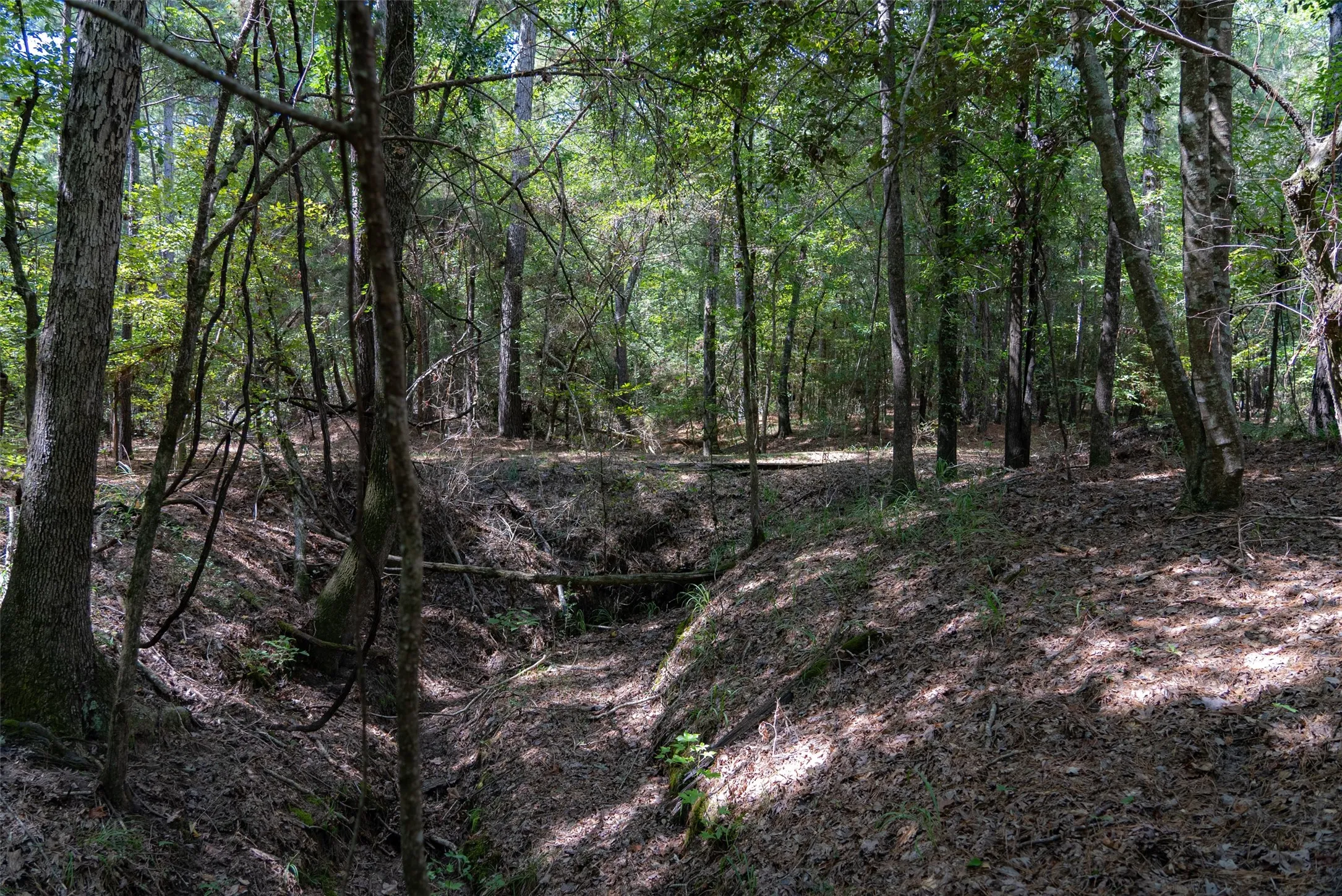 Improved Land For Sale in Houston County , NE Off Of FM 227, Kennard, Texas 75847, 0, 0, Garage spaces, 0 Sqft, built in 2010, mls#21389807, Real Estate Agent in Kennard, Homes For Sale in Houston county, Homes For Sale in Kennard, Realtor in Kennard Texas, Real Estate Brokerage Independent Realty Texas, Luminita Cordes Realtor