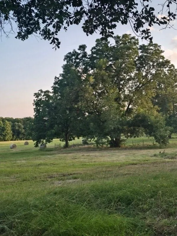 Single Family Residence For Sale in Smith County , 20086 County Road 299, Arp, Texas 75750, 3 Bedroom, 2 Bathroom, Garage spaces, 2,000 Sqft, built in 1974, mls#21389859, Real Estate Agent in Arp, Homes For Sale in Smith county, Homes For Sale in Arp, Realtor in Arp Texas, Real Estate Brokerage Independent Realty Texas, Luminita Cordes Realtor