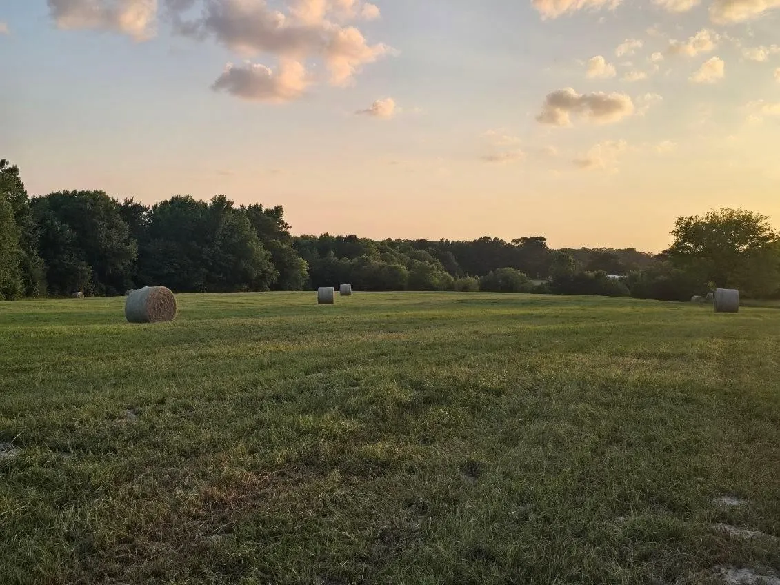 Single Family Residence For Sale in Smith County , 20086 County Road 299, Arp, Texas 75750, 3 Bedroom, 2 Bathroom, Garage spaces, 2,000 Sqft, built in 1974, mls#21389859, Real Estate Agent in Arp, Homes For Sale in Smith county, Homes For Sale in Arp, Realtor in Arp Texas, Real Estate Brokerage Independent Realty Texas, Luminita Cordes Realtor