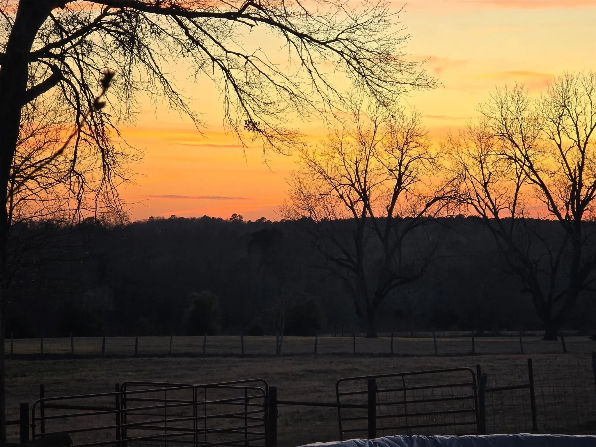 Single Family Residence For Sale in Smith County , 20086 County Road 299, Arp, Texas 75750, 3 Bedroom, 2 Bathroom, Garage spaces, 2,000 Sqft, built in 1974, mls#21389859, Real Estate Agent in Arp, Homes For Sale in Smith county, Homes For Sale in Arp, Realtor in Arp Texas, Real Estate Brokerage Independent Realty Texas, Luminita Cordes Realtor