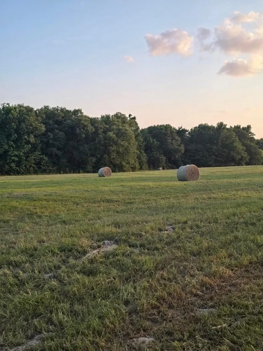 Single Family Residence For Sale in Smith County , 20086 County Road 299, Arp, Texas 75750, 3 Bedroom, 2 Bathroom, Garage spaces, 2,000 Sqft, built in 1974, mls#21389859, Real Estate Agent in Arp, Homes For Sale in Smith county, Homes For Sale in Arp, Realtor in Arp Texas, Real Estate Brokerage Independent Realty Texas, Luminita Cordes Realtor