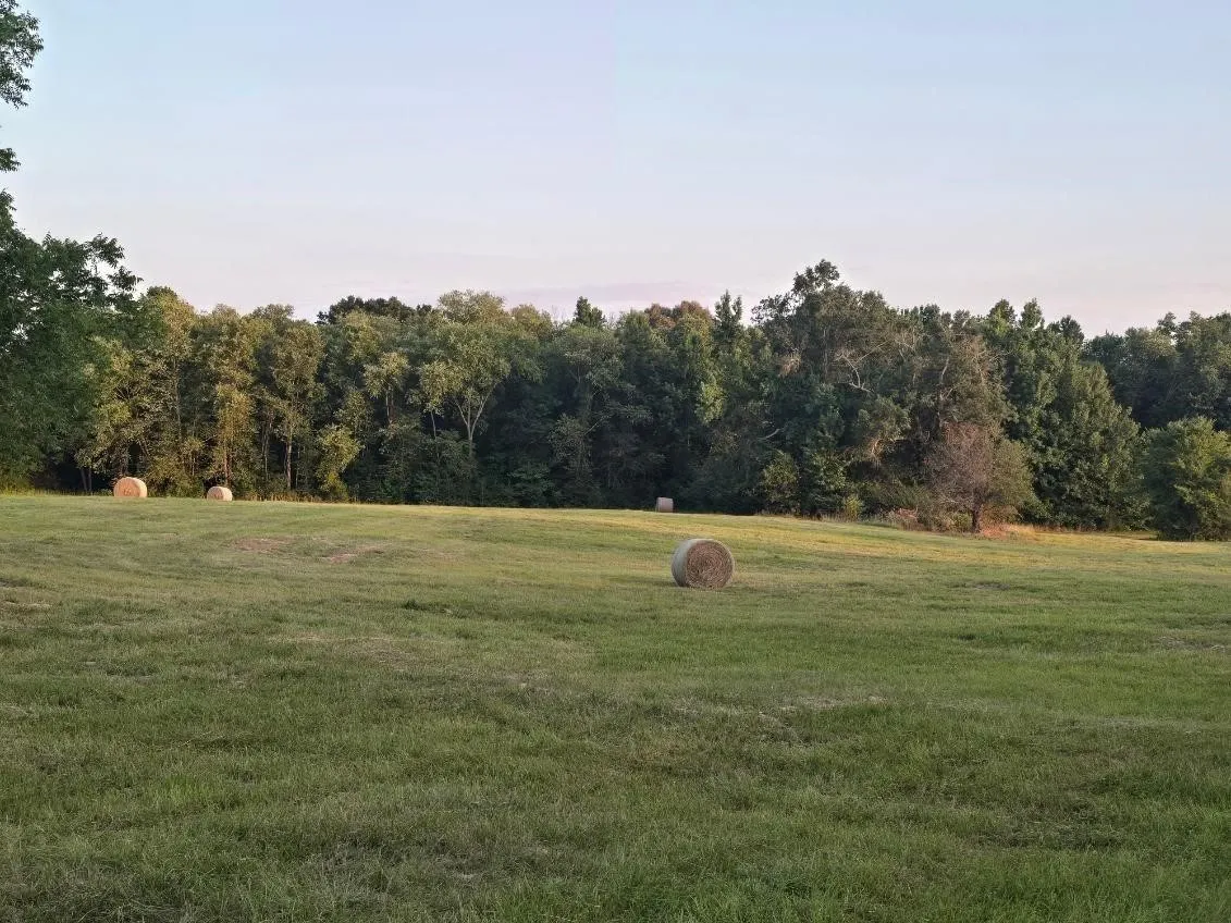 Single Family Residence For Sale in Smith County , 20086 County Road 299, Arp, Texas 75750, 3 Bedroom, 2 Bathroom, Garage spaces, 2,000 Sqft, built in 1974, mls#21389859, Real Estate Agent in Arp, Homes For Sale in Smith county, Homes For Sale in Arp, Realtor in Arp Texas, Real Estate Brokerage Independent Realty Texas, Luminita Cordes Realtor