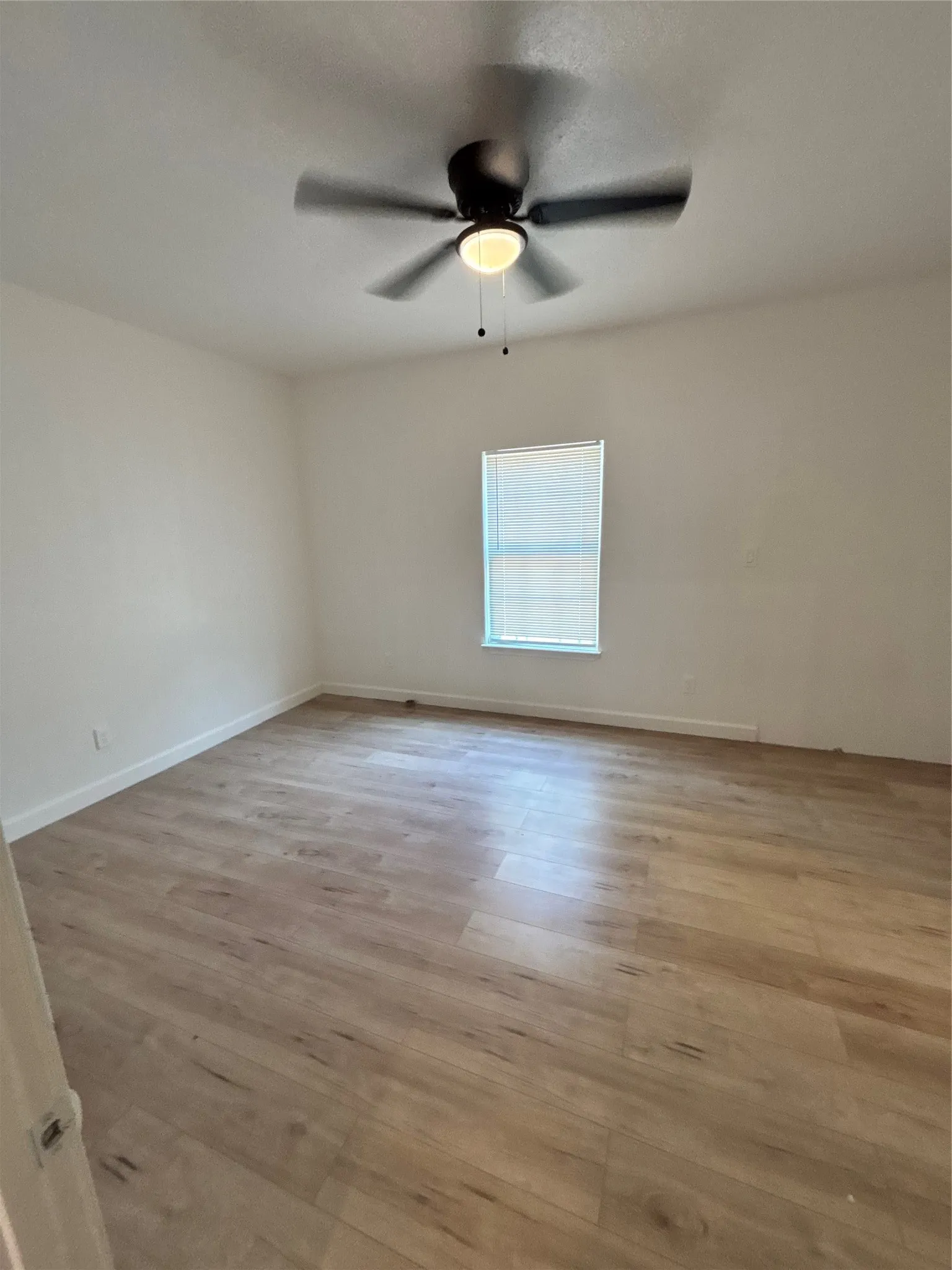 Light wood-finish flooring, single window with blinds, and an overhead ceiling fan with lighting