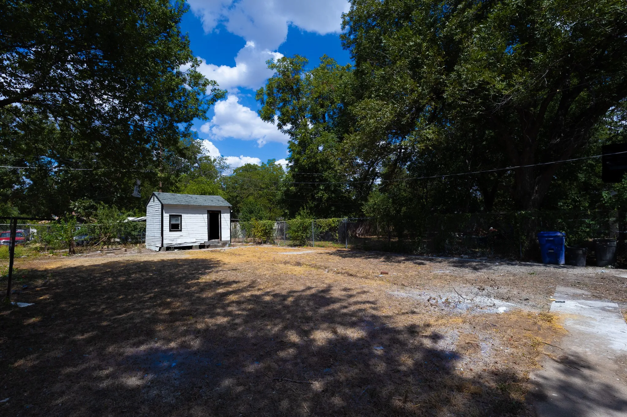 Expansive backyard with a storage shed, mature trees, and chain-link fencing
