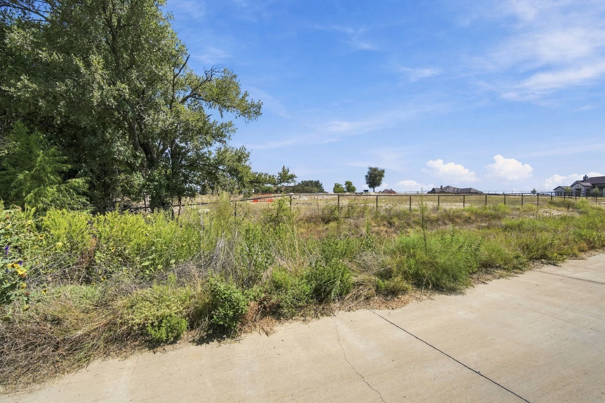 Lot 24 with trees along one side.