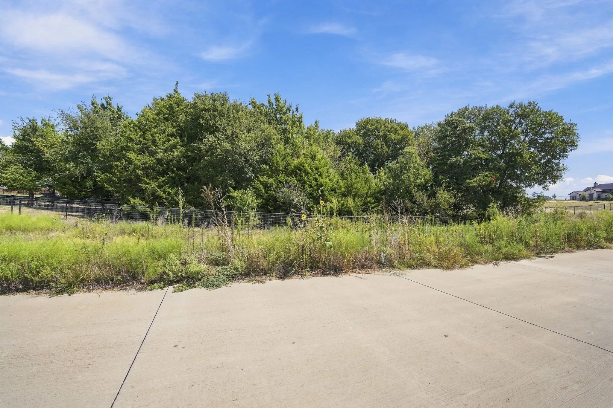 Street view of lot 24 & tree line.