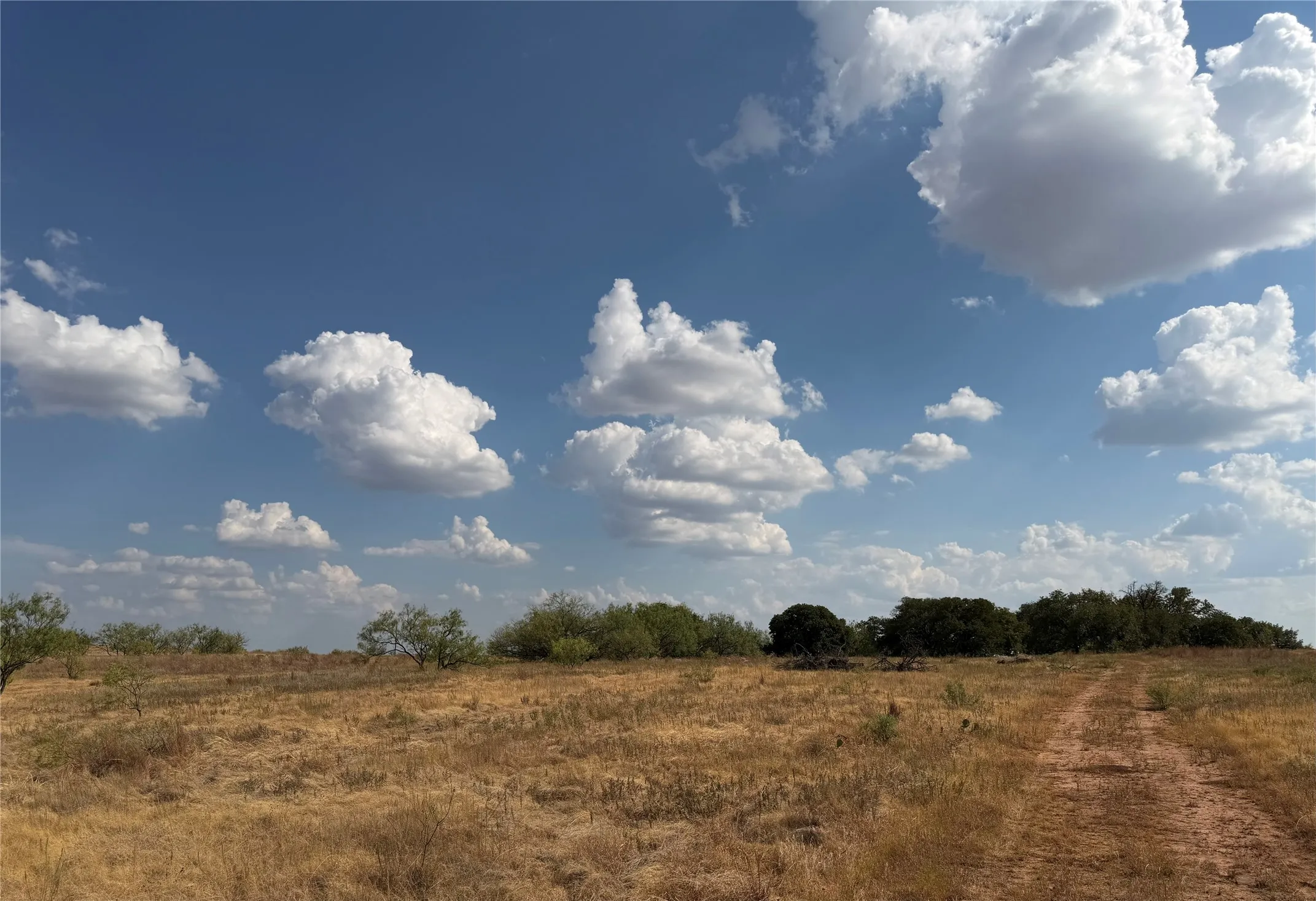 Improved Land For Sale in Clay County , 1796 Browning Road, Bellevue, Texas 76228, 0, 0, Garage spaces, 0 Sqft, built in 0, mls#21389968, Real Estate Agent in Bellevue, Homes For Sale in Clay county, Homes For Sale in Bellevue, Realtor in Bellevue Texas, Real Estate Brokerage Independent Realty Texas, Luminita Cordes Realtor