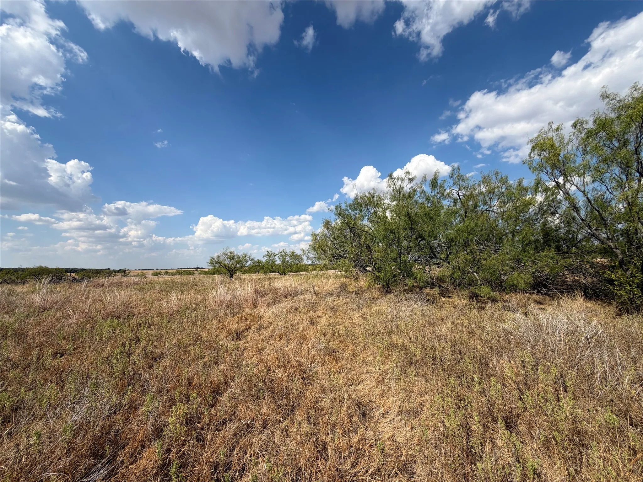 Improved Land For Sale in Clay County , 1796 Browning Road, Bellevue, Texas 76228, 0, 0, Garage spaces, 0 Sqft, built in 0, mls#21389968, Real Estate Agent in Bellevue, Homes For Sale in Clay county, Homes For Sale in Bellevue, Realtor in Bellevue Texas, Real Estate Brokerage Independent Realty Texas, Luminita Cordes Realtor