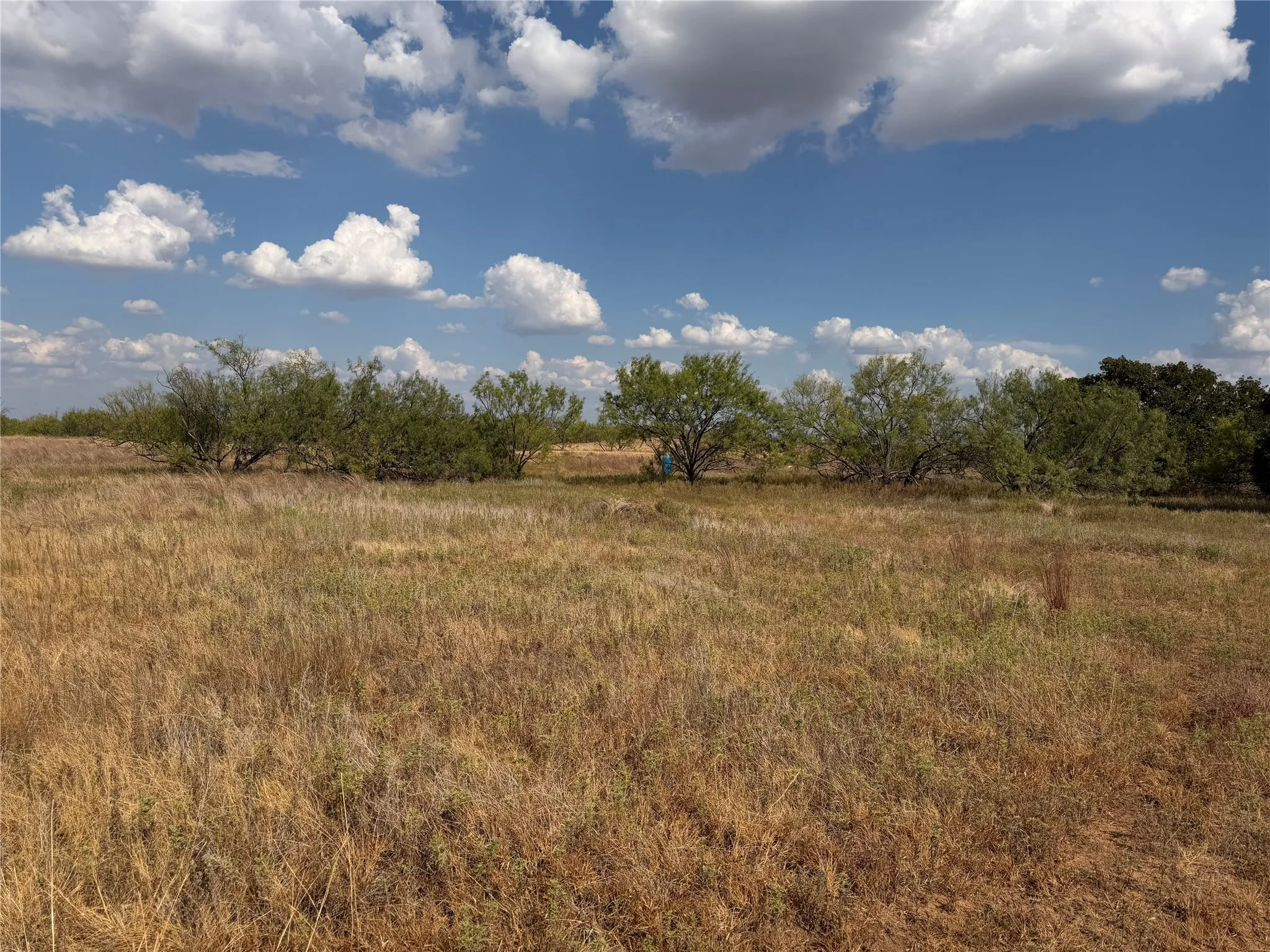 Improved Land For Sale in Clay County , 1796 Browning Road, Bellevue, Texas 76228, 0, 0, Garage spaces, 0 Sqft, built in 0, mls#21389968, Real Estate Agent in Bellevue, Homes For Sale in Clay county, Homes For Sale in Bellevue, Realtor in Bellevue Texas, Real Estate Brokerage Independent Realty Texas, Luminita Cordes Realtor