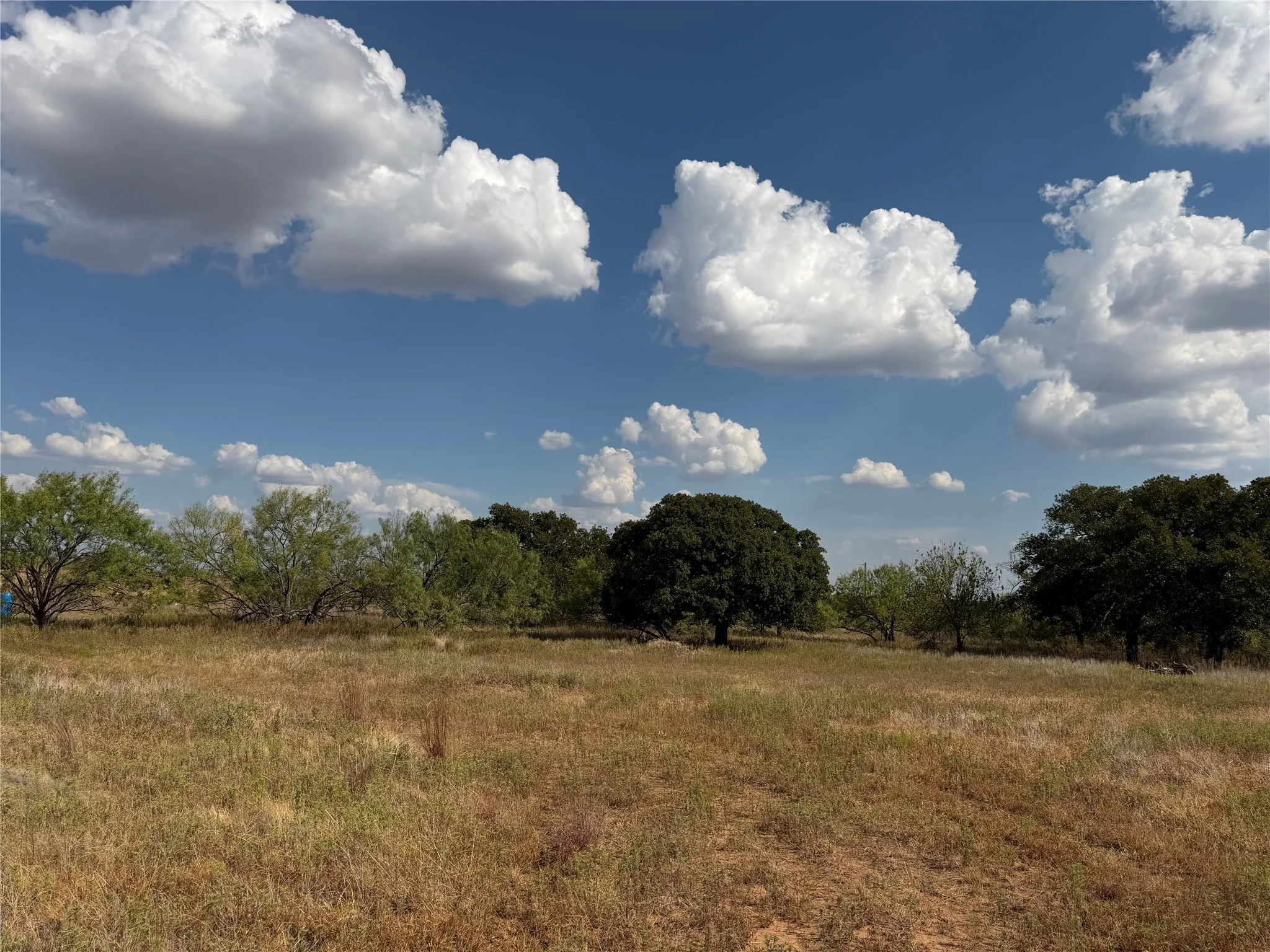 Improved Land For Sale in Clay County , 1796 Browning Road, Bellevue, Texas 76228, 0, 0, Garage spaces, 0 Sqft, built in 0, mls#21389968, Real Estate Agent in Bellevue, Homes For Sale in Clay county, Homes For Sale in Bellevue, Realtor in Bellevue Texas, Real Estate Brokerage Independent Realty Texas, Luminita Cordes Realtor