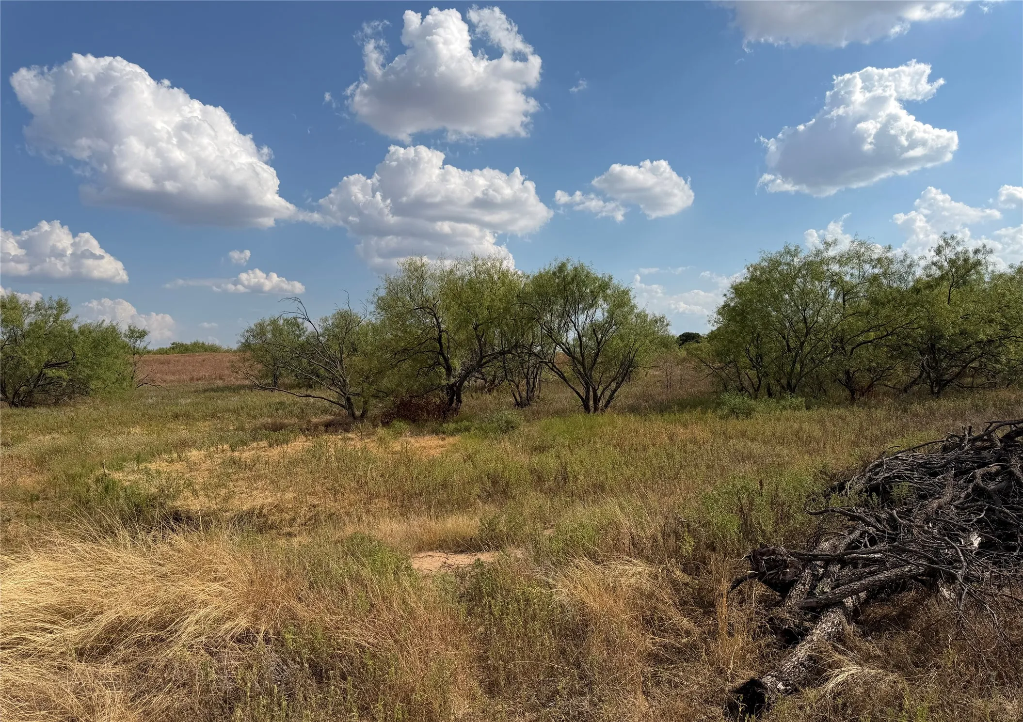 Improved Land For Sale in Clay County , 1796 Browning Road, Bellevue, Texas 76228, 0, 0, Garage spaces, 0 Sqft, built in 0, mls#21389968, Real Estate Agent in Bellevue, Homes For Sale in Clay county, Homes For Sale in Bellevue, Realtor in Bellevue Texas, Real Estate Brokerage Independent Realty Texas, Luminita Cordes Realtor