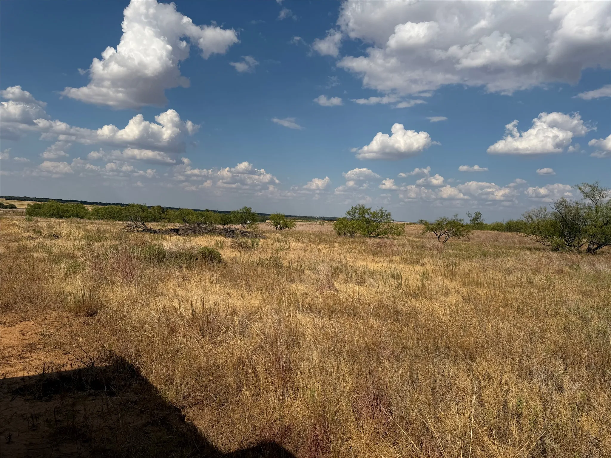 Improved Land For Sale in Clay County , 1796 Browning Road, Bellevue, Texas 76228, 0, 0, Garage spaces, 0 Sqft, built in 0, mls#21389968, Real Estate Agent in Bellevue, Homes For Sale in Clay county, Homes For Sale in Bellevue, Realtor in Bellevue Texas, Real Estate Brokerage Independent Realty Texas, Luminita Cordes Realtor