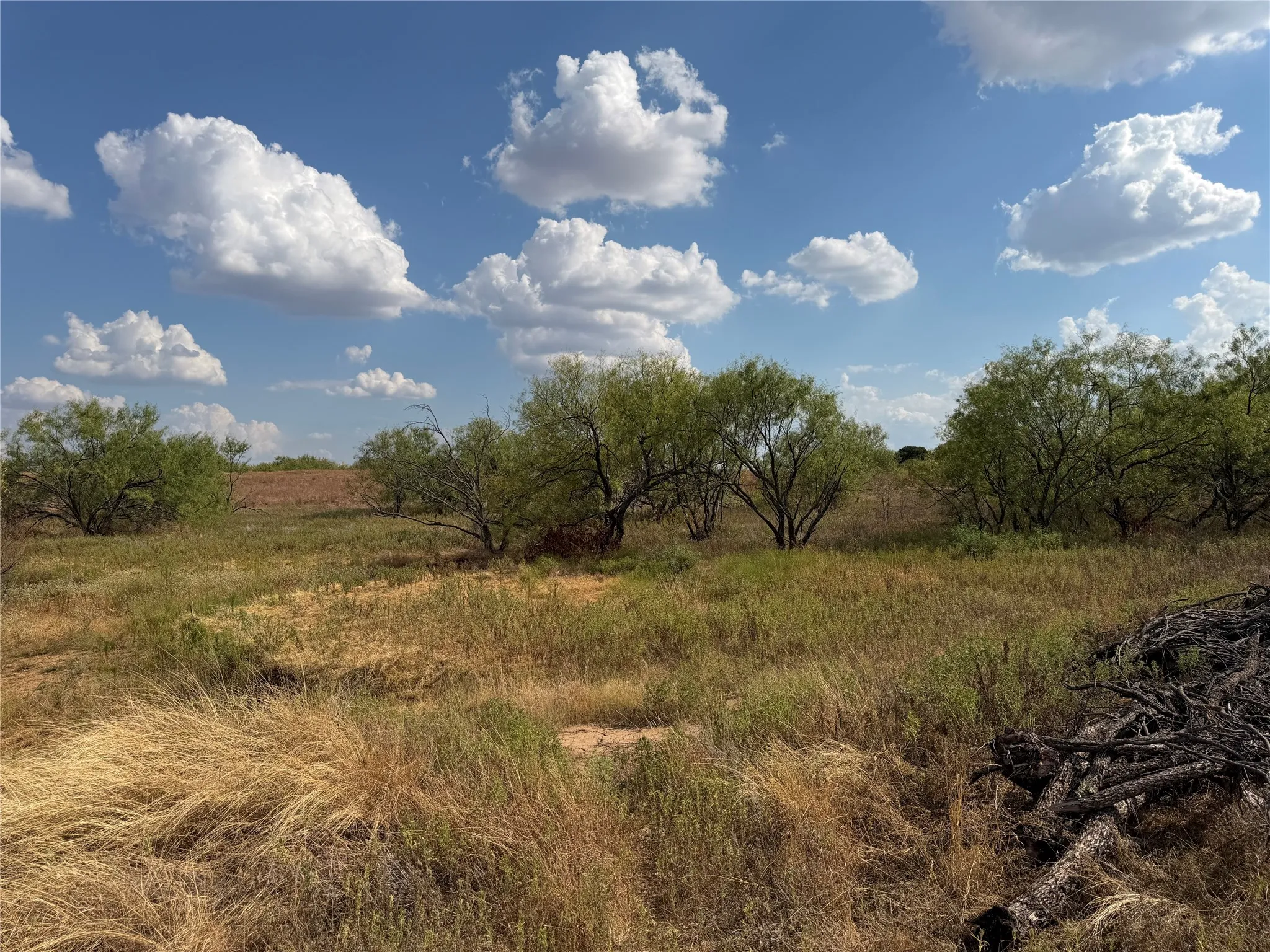 Improved Land For Sale in Clay County , 1796 Browning Road, Bellevue, Texas 76228, 0, 0, Garage spaces, 0 Sqft, built in 0, mls#21389968, Real Estate Agent in Bellevue, Homes For Sale in Clay county, Homes For Sale in Bellevue, Realtor in Bellevue Texas, Real Estate Brokerage Independent Realty Texas, Luminita Cordes Realtor