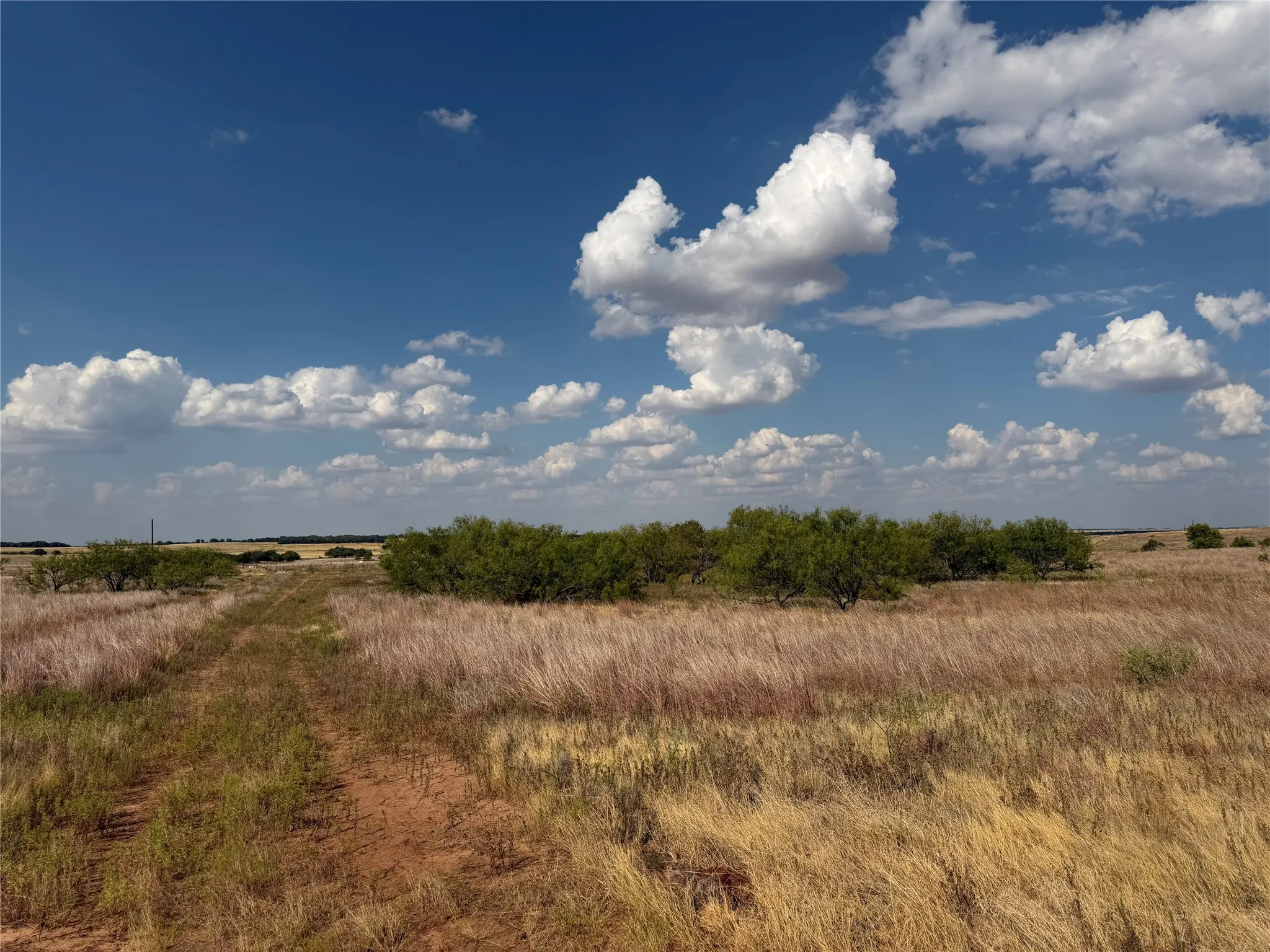 Improved Land For Sale in Clay County , 1796 Browning Road, Bellevue, Texas 76228, 0, 0, Garage spaces, 0 Sqft, built in 0, mls#21389968, Real Estate Agent in Bellevue, Homes For Sale in Clay county, Homes For Sale in Bellevue, Realtor in Bellevue Texas, Real Estate Brokerage Independent Realty Texas, Luminita Cordes Realtor