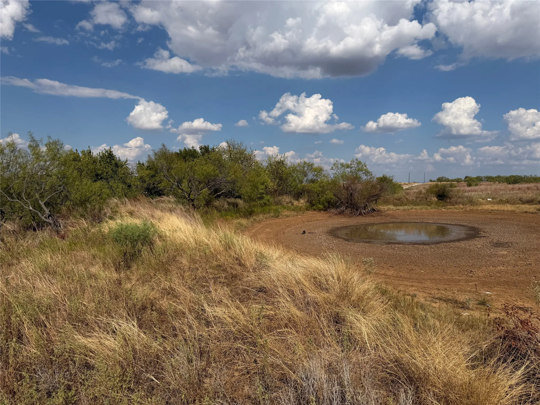 Improved Land For Sale in Clay County , 1796 Browning Road, Bellevue, Texas 76228, 0, 0, Garage spaces, 0 Sqft, built in 0, mls#21389968, Real Estate Agent in Bellevue, Homes For Sale in Clay county, Homes For Sale in Bellevue, Realtor in Bellevue Texas, Real Estate Brokerage Independent Realty Texas, Luminita Cordes Realtor