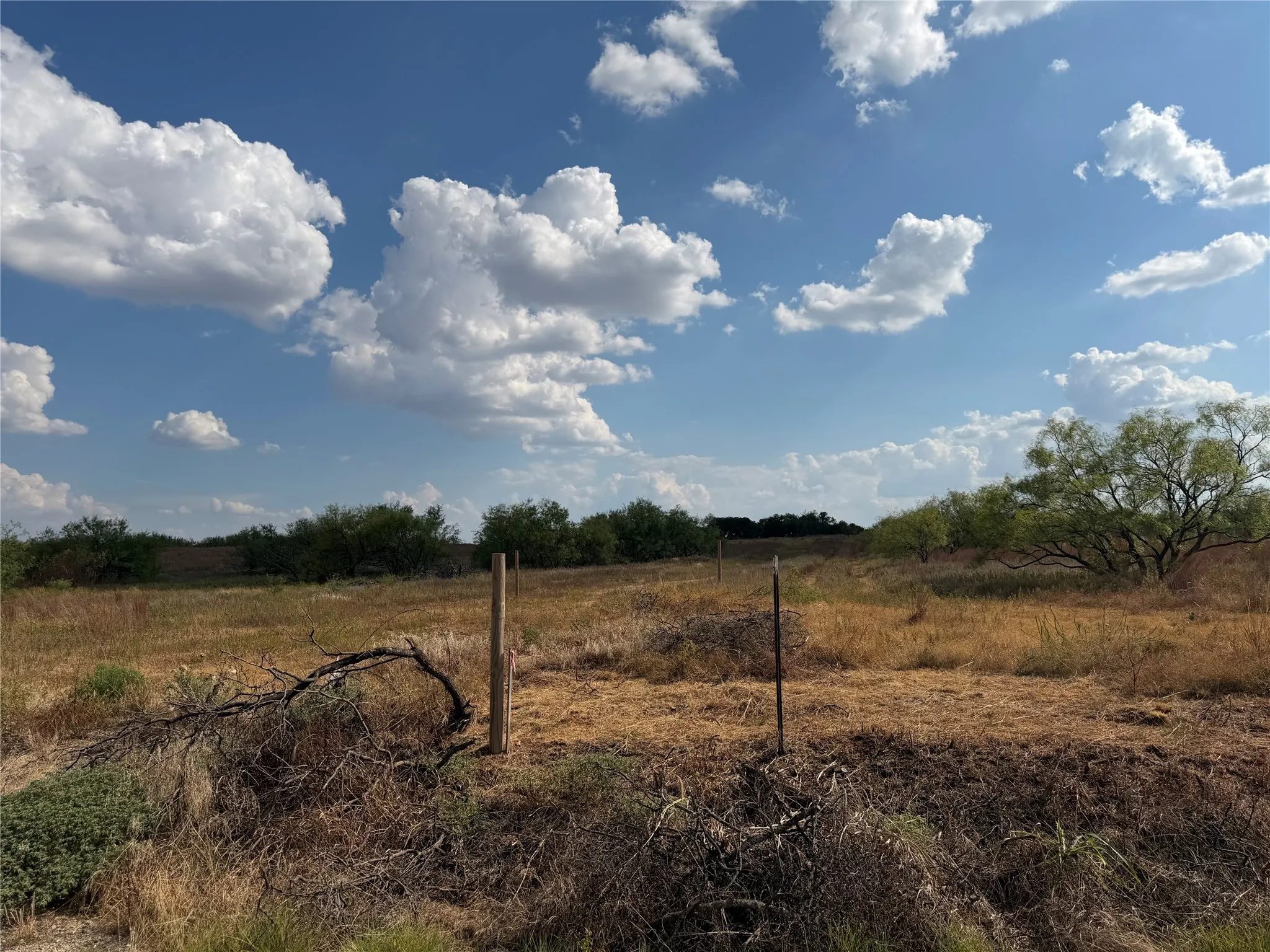 Improved Land For Sale in Clay County , 1796 Browning Road, Bellevue, Texas 76228, 0, 0, Garage spaces, 0 Sqft, built in 0, mls#21389968, Real Estate Agent in Bellevue, Homes For Sale in Clay county, Homes For Sale in Bellevue, Realtor in Bellevue Texas, Real Estate Brokerage Independent Realty Texas, Luminita Cordes Realtor