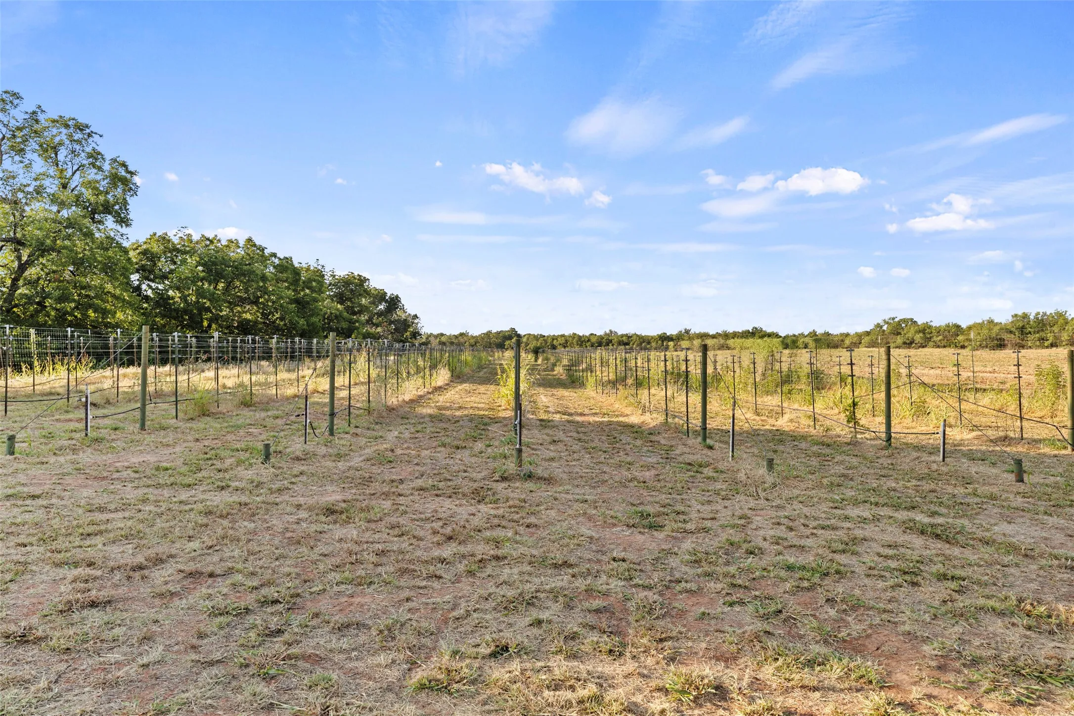 Business For Sale in Wichita County , 3399 S Peterson Road S, Iowa Park, Texas 76367, 0, 0, Garage spaces, 8,058 Sqft, built in 1999, mls#21380535, Real Estate Agent in Iowa Park, Homes For Sale in Wichita county, Homes For Sale in Iowa Park, Realtor in Iowa Park Texas, Real Estate Brokerage Independent Realty Texas, Luminita Cordes Realtor