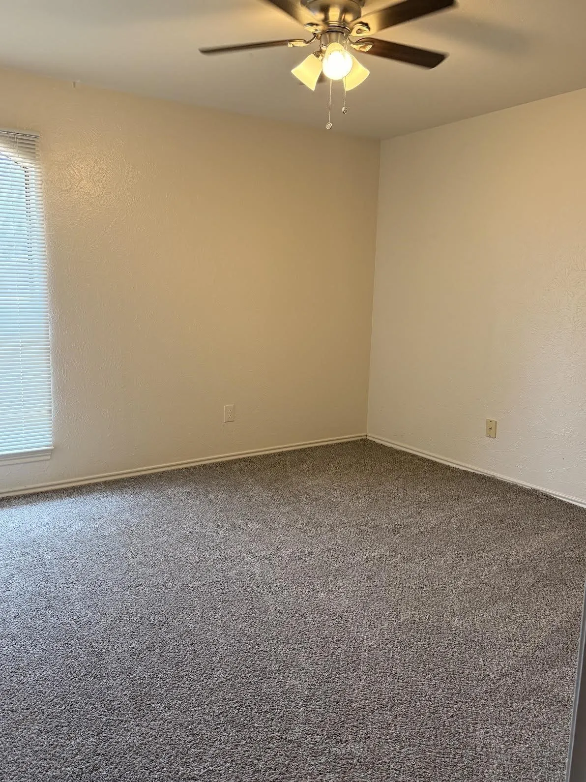 Secondary bedrooms with new carpet.