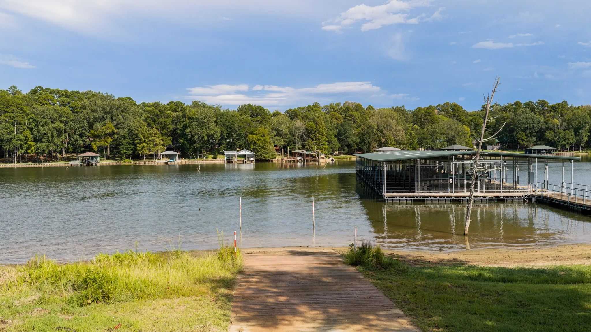Unimproved Land For Sale in Camp County , Lot 37 N Private Road 52416, Leesburg, Texas 75451, 0, 0, Garage spaces, 0 Sqft, built in 0, mls#21386479, Real Estate Agent in Leesburg, Homes For Sale in Camp county, Homes For Sale in Leesburg, Realtor in Leesburg Texas, Real Estate Brokerage Independent Realty Texas, Luminita Cordes Realtor