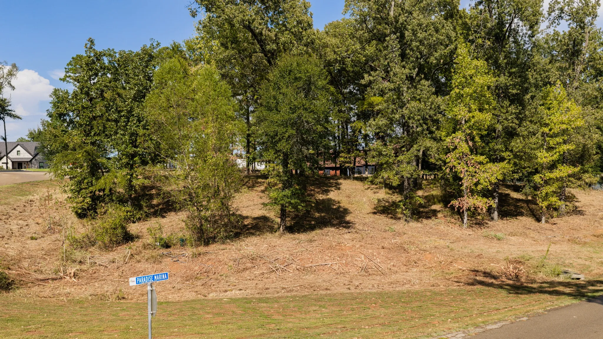 Unimproved Land For Sale in Camp County , Lot 37 N Private Road 52416, Leesburg, Texas 75451, 0, 0, Garage spaces, 0 Sqft, built in 0, mls#21386479, Real Estate Agent in Leesburg, Homes For Sale in Camp county, Homes For Sale in Leesburg, Realtor in Leesburg Texas, Real Estate Brokerage Independent Realty Texas, Luminita Cordes Realtor