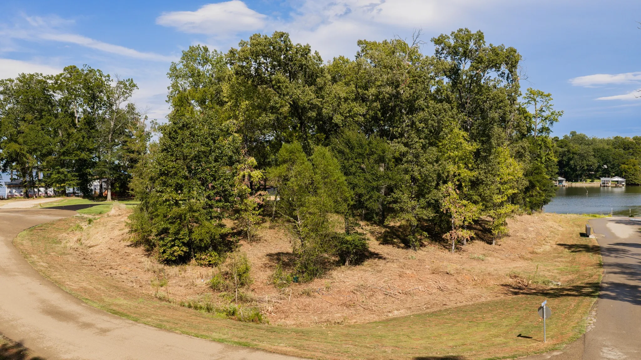 Unimproved Land For Sale in Camp County , Lot 37 N Private Road 52416, Leesburg, Texas 75451, 0, 0, Garage spaces, 0 Sqft, built in 0, mls#21386479, Real Estate Agent in Leesburg, Homes For Sale in Camp county, Homes For Sale in Leesburg, Realtor in Leesburg Texas, Real Estate Brokerage Independent Realty Texas, Luminita Cordes Realtor