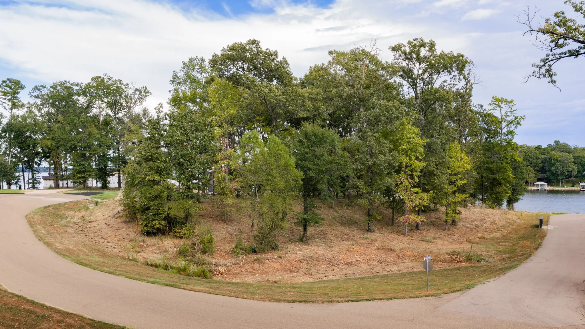 Unimproved Land For Sale in Camp County , Lot 37 N Private Road 52416, Leesburg, Texas 75451, 0, 0, Garage spaces, 0 Sqft, built in 0, mls#21386479, Real Estate Agent in Leesburg, Homes For Sale in Camp county, Homes For Sale in Leesburg, Realtor in Leesburg Texas, Real Estate Brokerage Independent Realty Texas, Luminita Cordes Realtor
