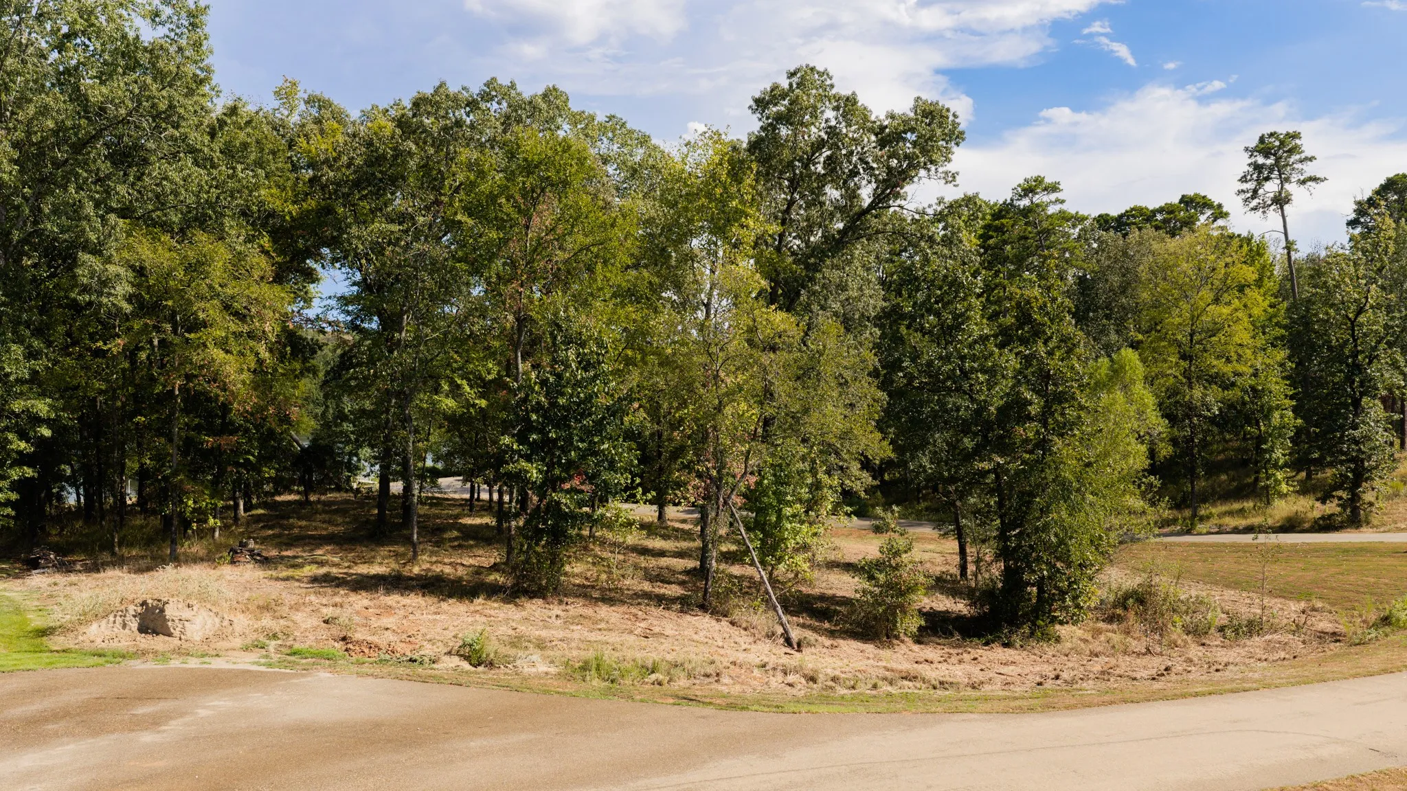Unimproved Land For Sale in Camp County , Lot 37 N Private Road 52416, Leesburg, Texas 75451, 0, 0, Garage spaces, 0 Sqft, built in 0, mls#21386479, Real Estate Agent in Leesburg, Homes For Sale in Camp county, Homes For Sale in Leesburg, Realtor in Leesburg Texas, Real Estate Brokerage Independent Realty Texas, Luminita Cordes Realtor