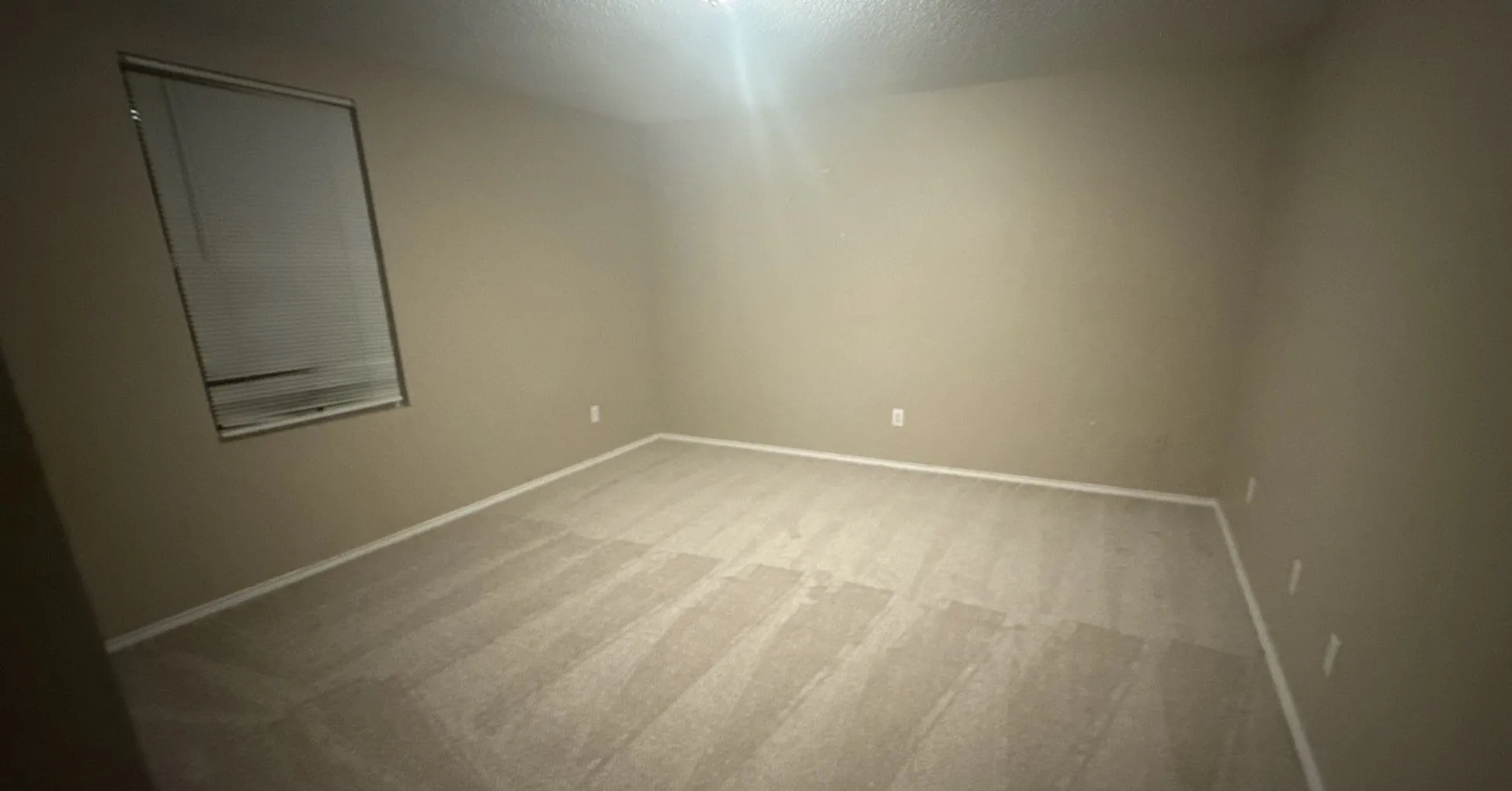 Neutral-toned walls complement the light-colored carpet flooring