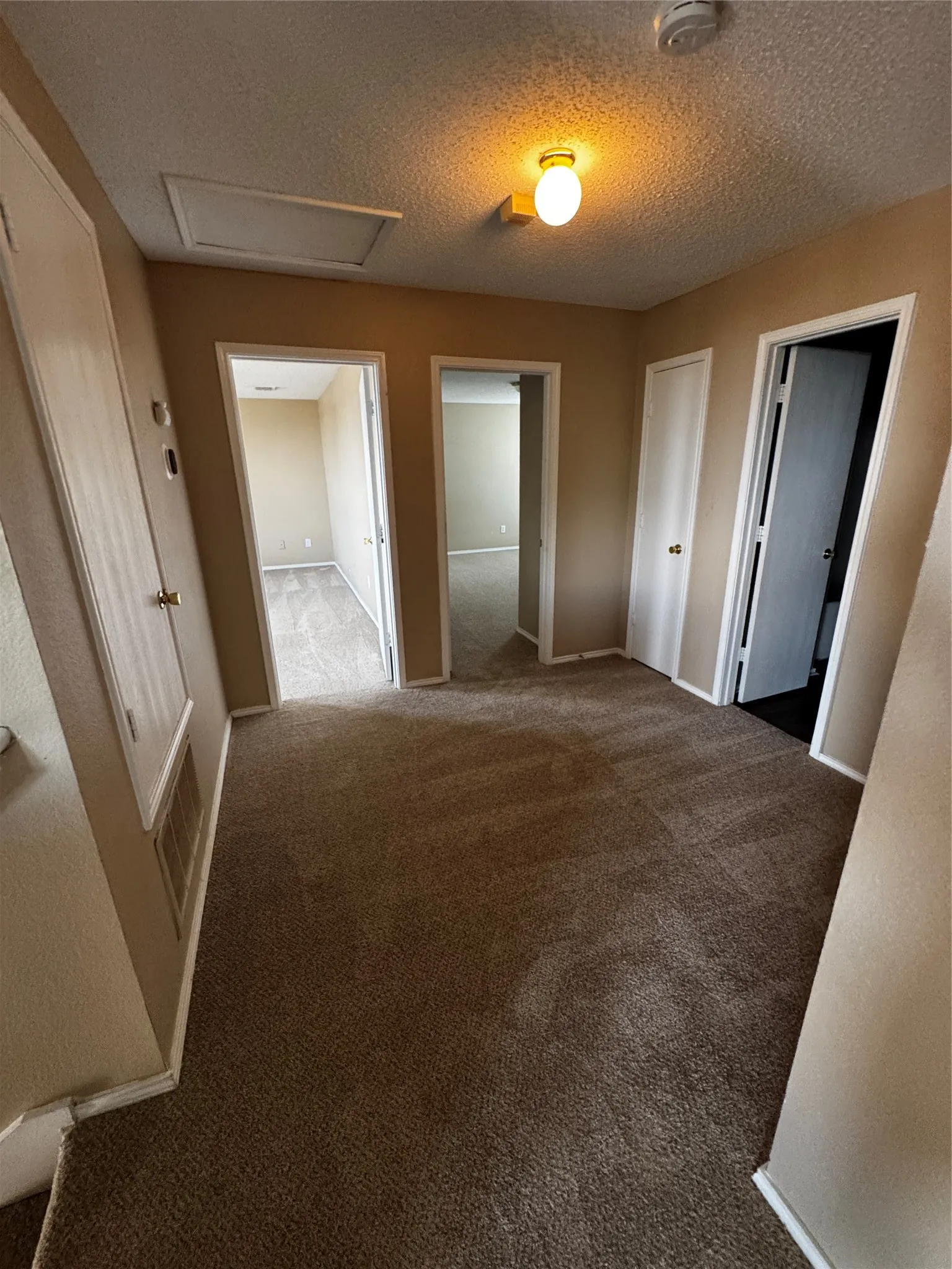 Carpeted hallway with painted walls, multiple doorways, and a flush-mount ceiling light