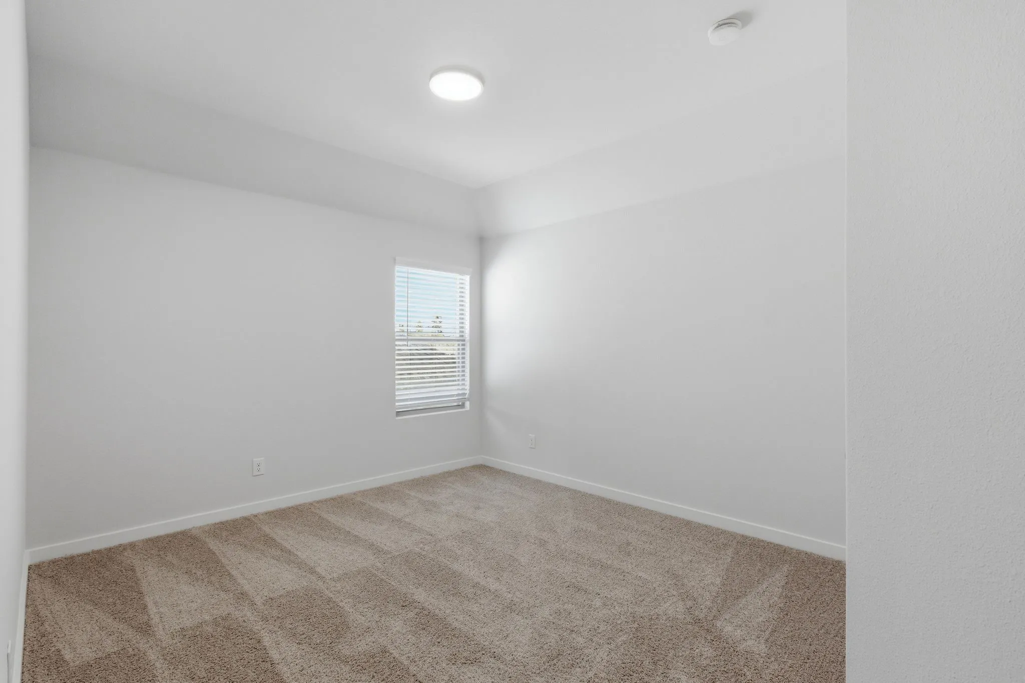 Textured carpet flooring, neutral paint palette, window with blinds, and ceiling-mounted lighting