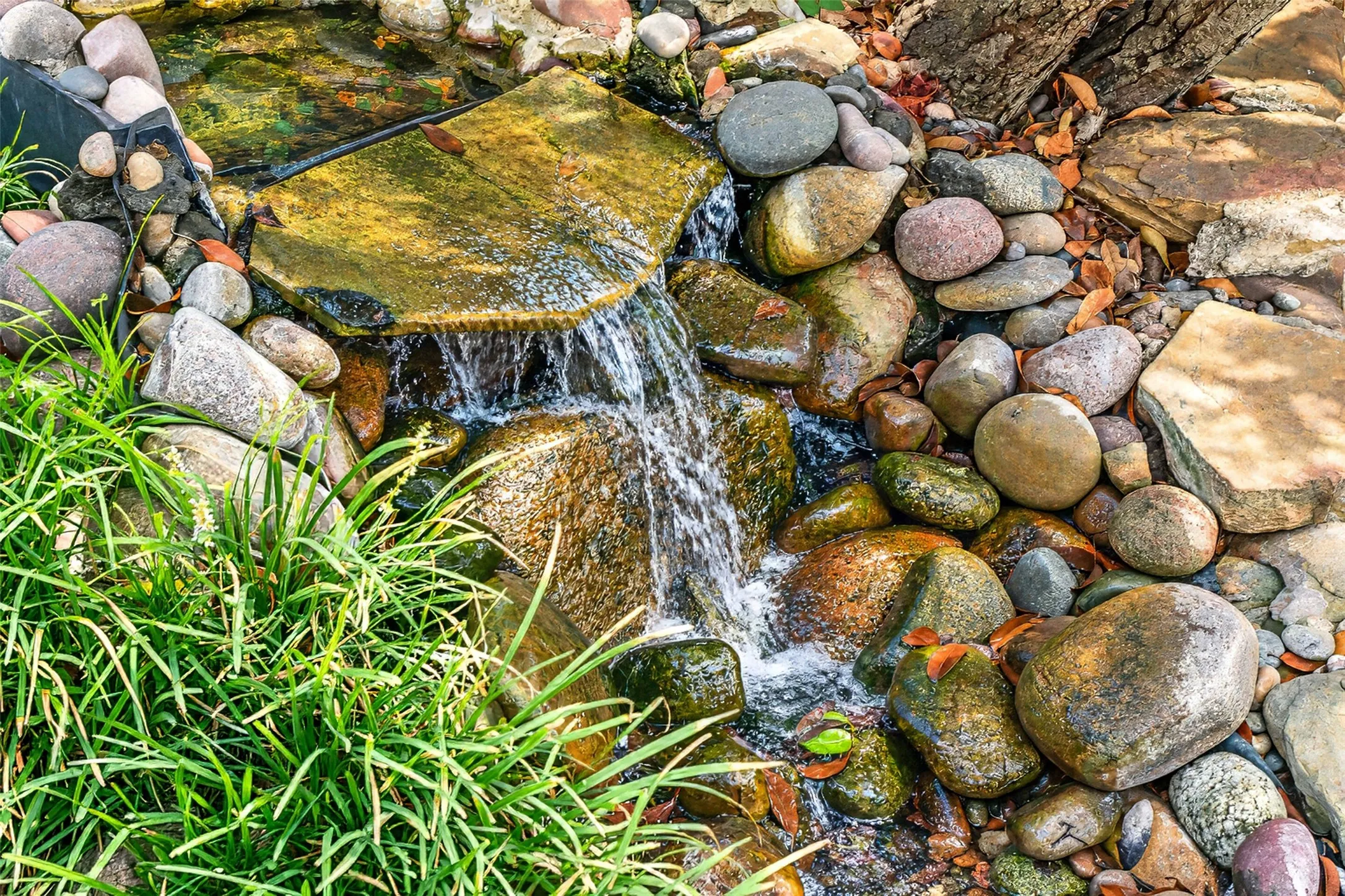 Water feature with natural stone and river rock accents, surrounded by lush green ground cover