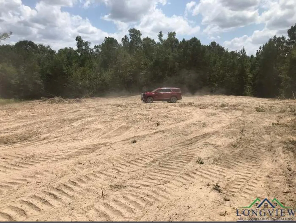 Unimproved Land For Sale in Upshur County , TBD Aster Road, Gilmer, Texas 75644, 0, 0, Garage spaces, 0 Sqft, built in 0, mls#21390126, Real Estate Agent in Gilmer, Homes For Sale in Upshur county, Homes For Sale in Gilmer, Realtor in Gilmer Texas, Real Estate Brokerage Independent Realty Texas, Luminita Cordes Realtor