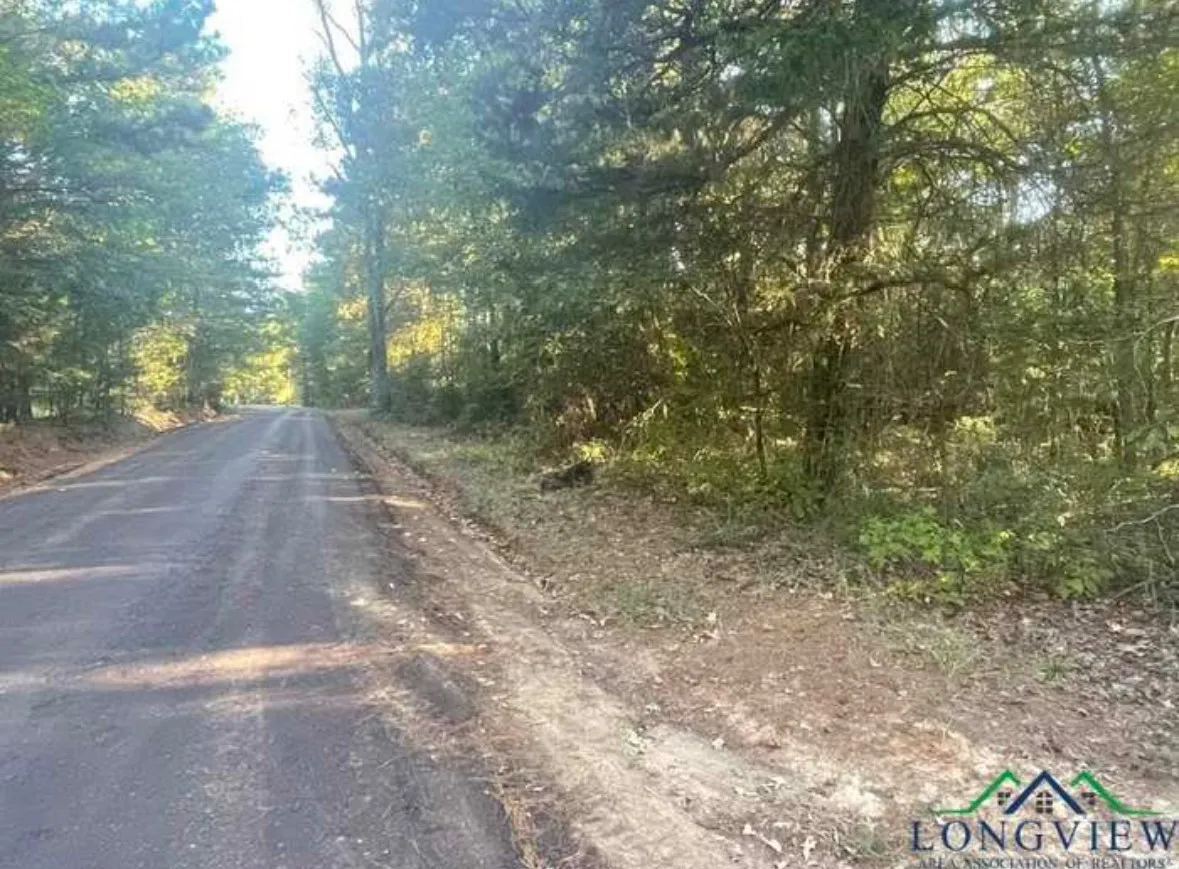 Unimproved Land For Sale in Upshur County , TBD Aster Road, Gilmer, Texas 75644, 0, 0, Garage spaces, 0 Sqft, built in 0, mls#21390126, Real Estate Agent in Gilmer, Homes For Sale in Upshur county, Homes For Sale in Gilmer, Realtor in Gilmer Texas, Real Estate Brokerage Independent Realty Texas, Luminita Cordes Realtor